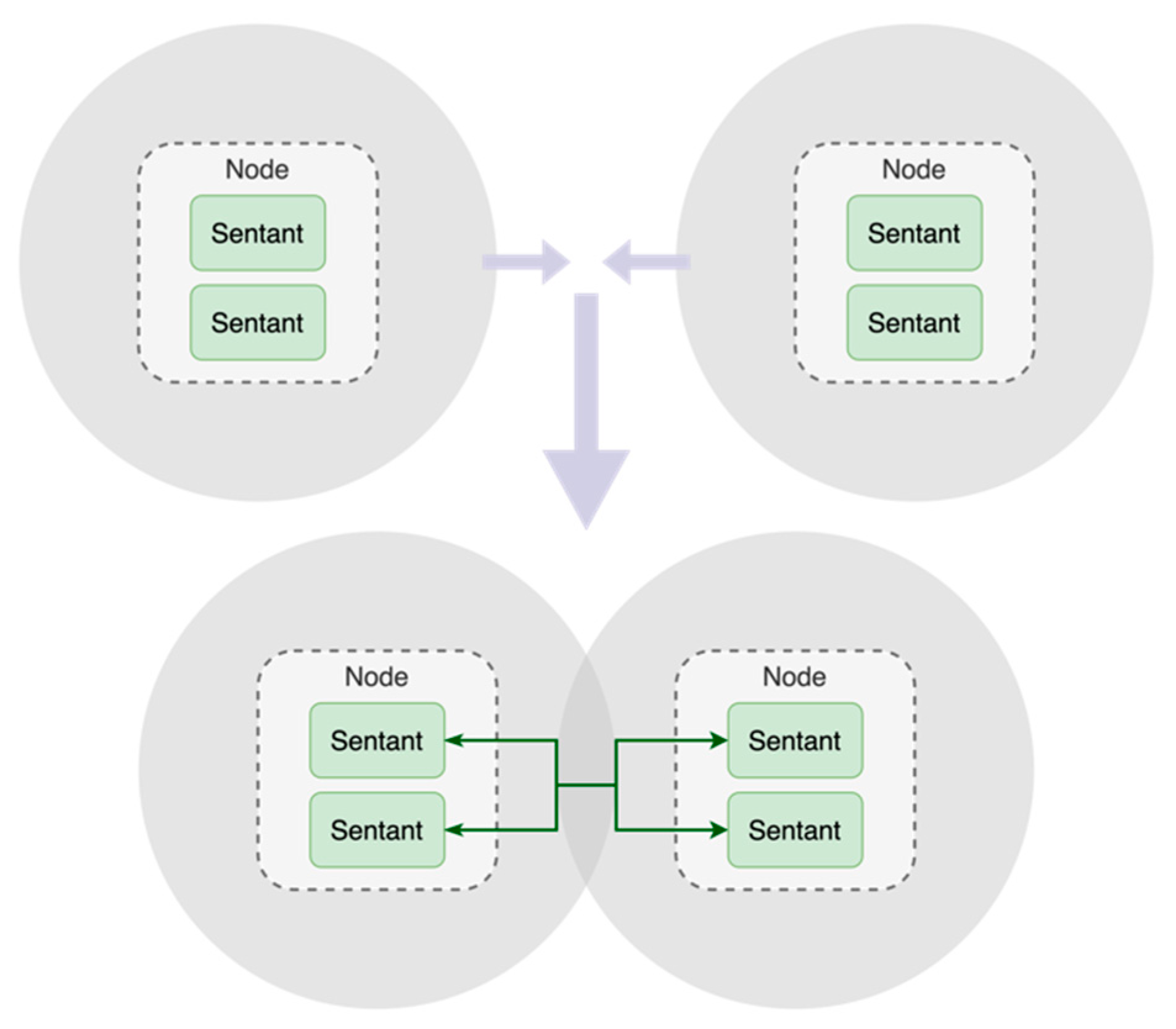 Preprints 154381 g001