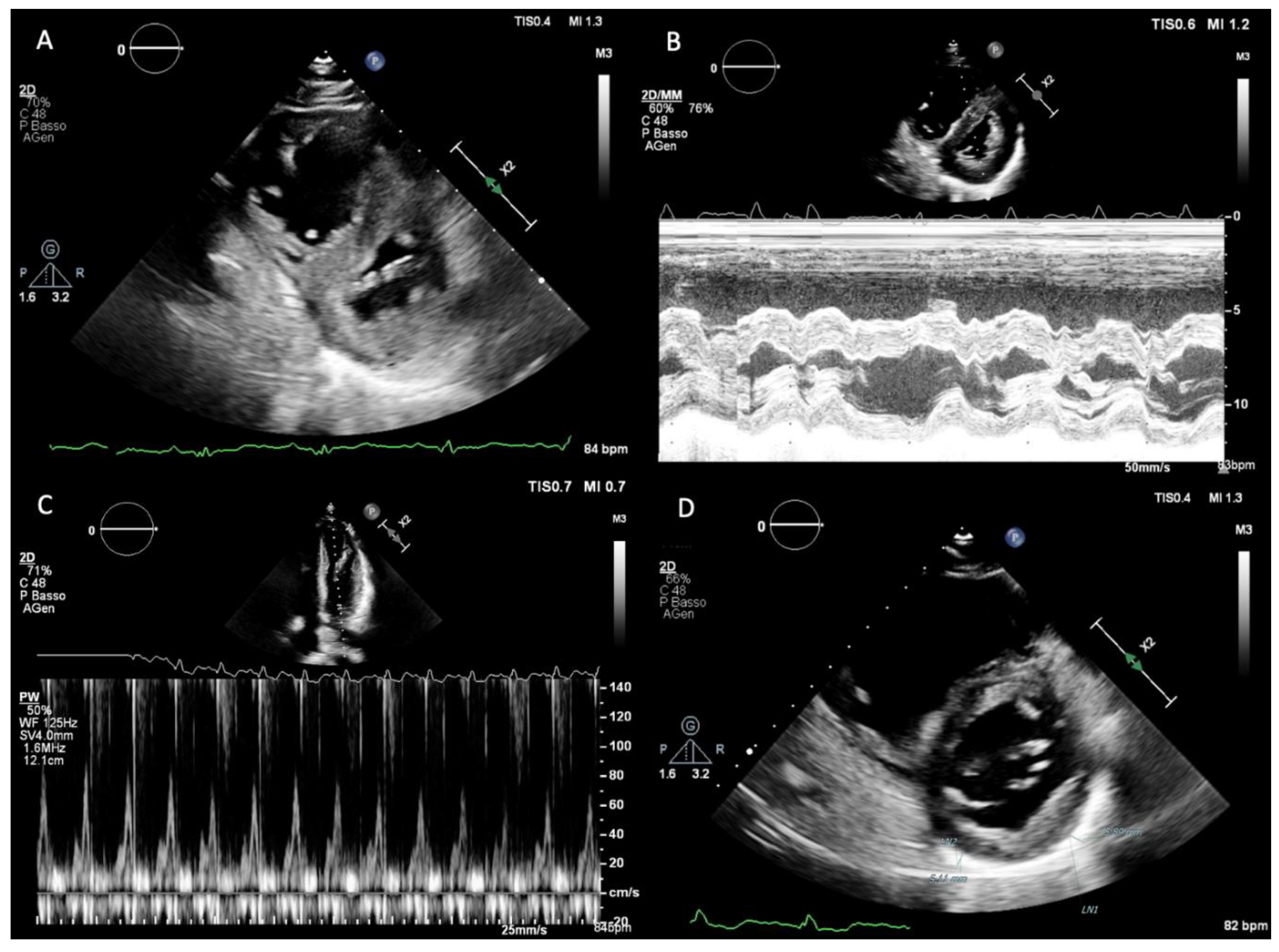 Preprints 196213 g001