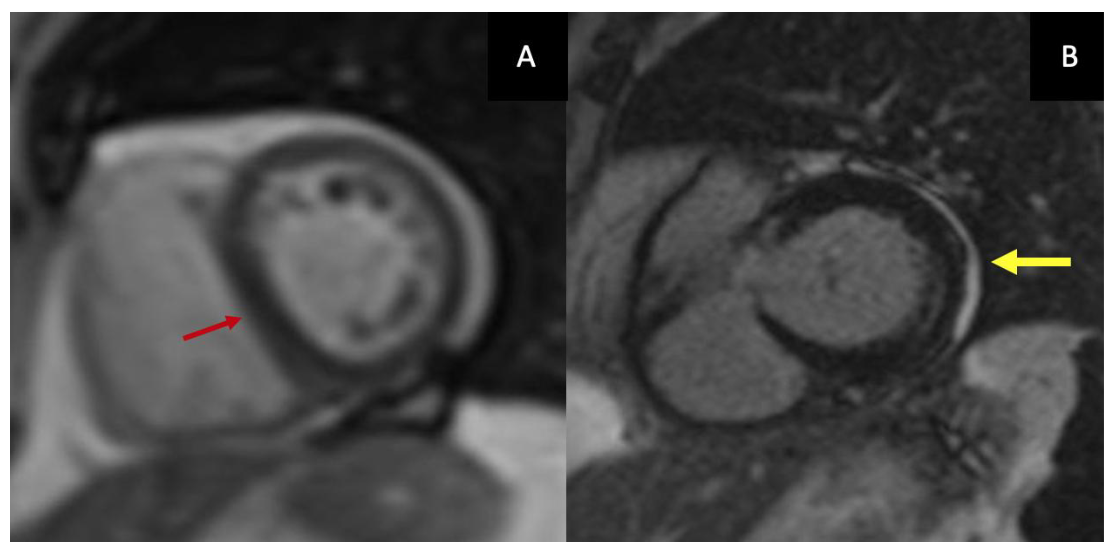 Preprints 196213 g002