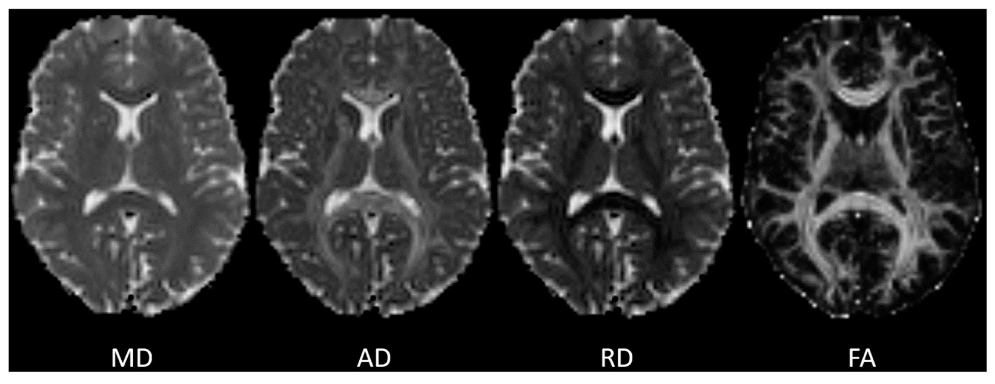 Preprints 191441 g001