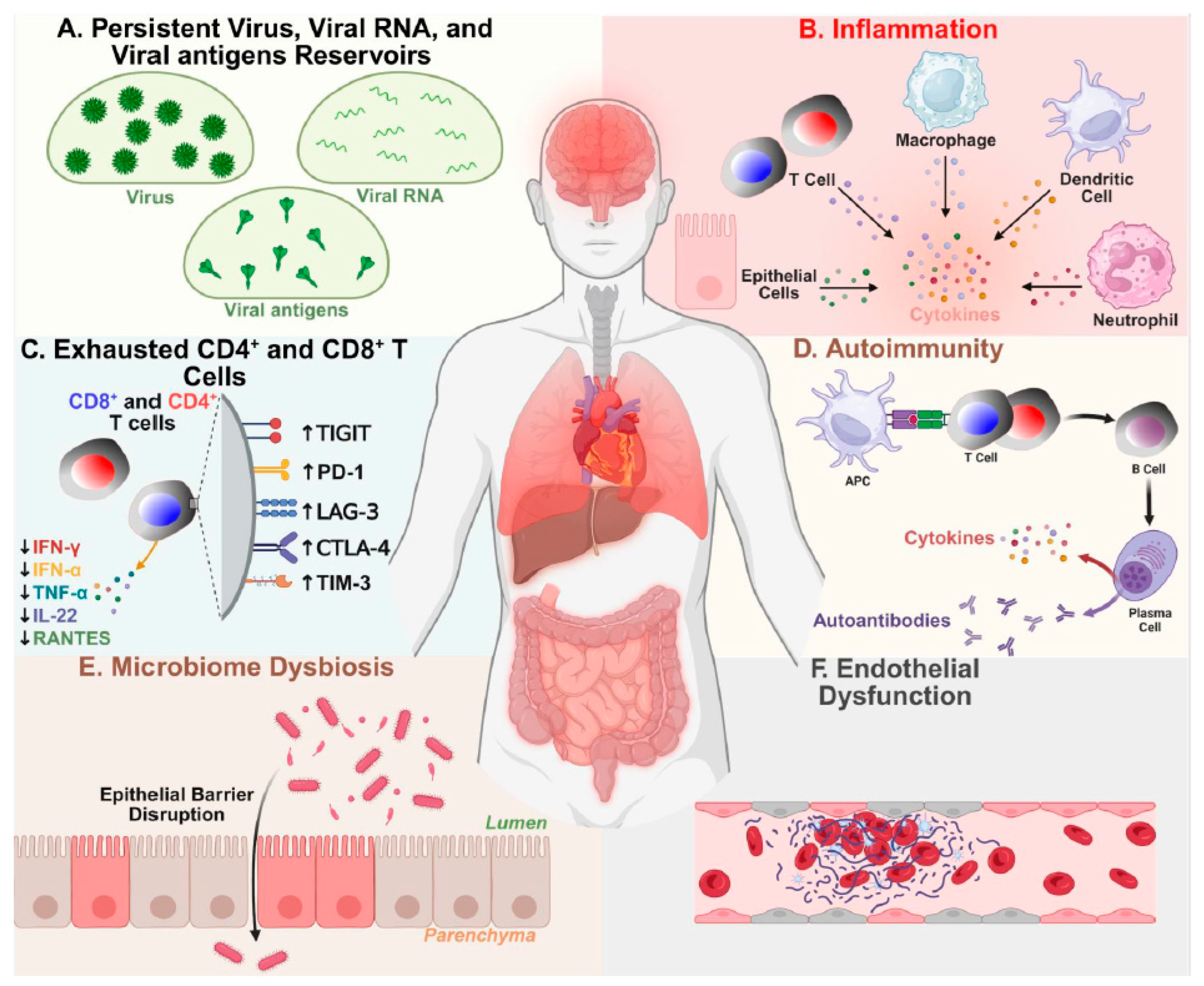 Preprints 176376 g001