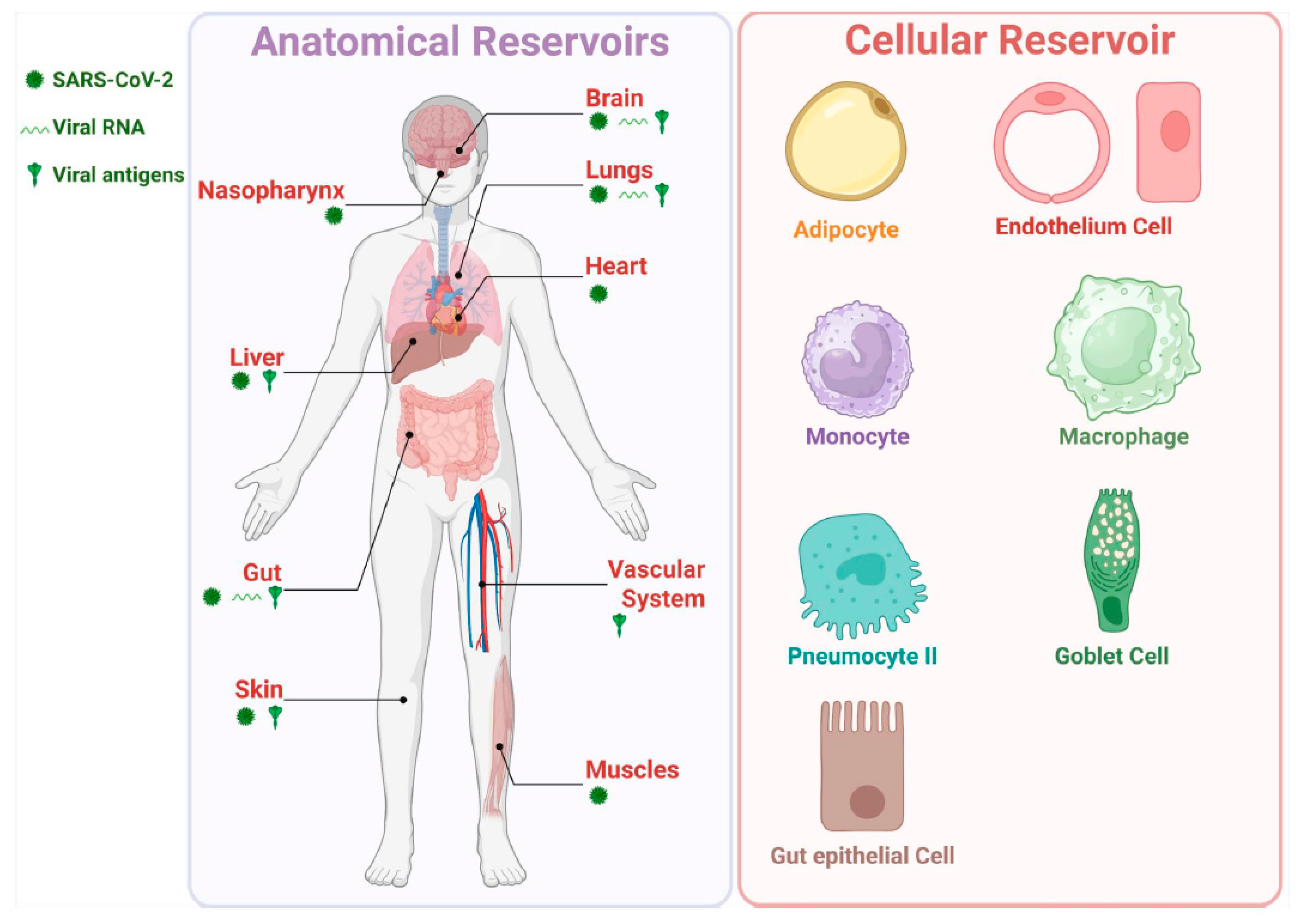 Preprints 176376 g003
