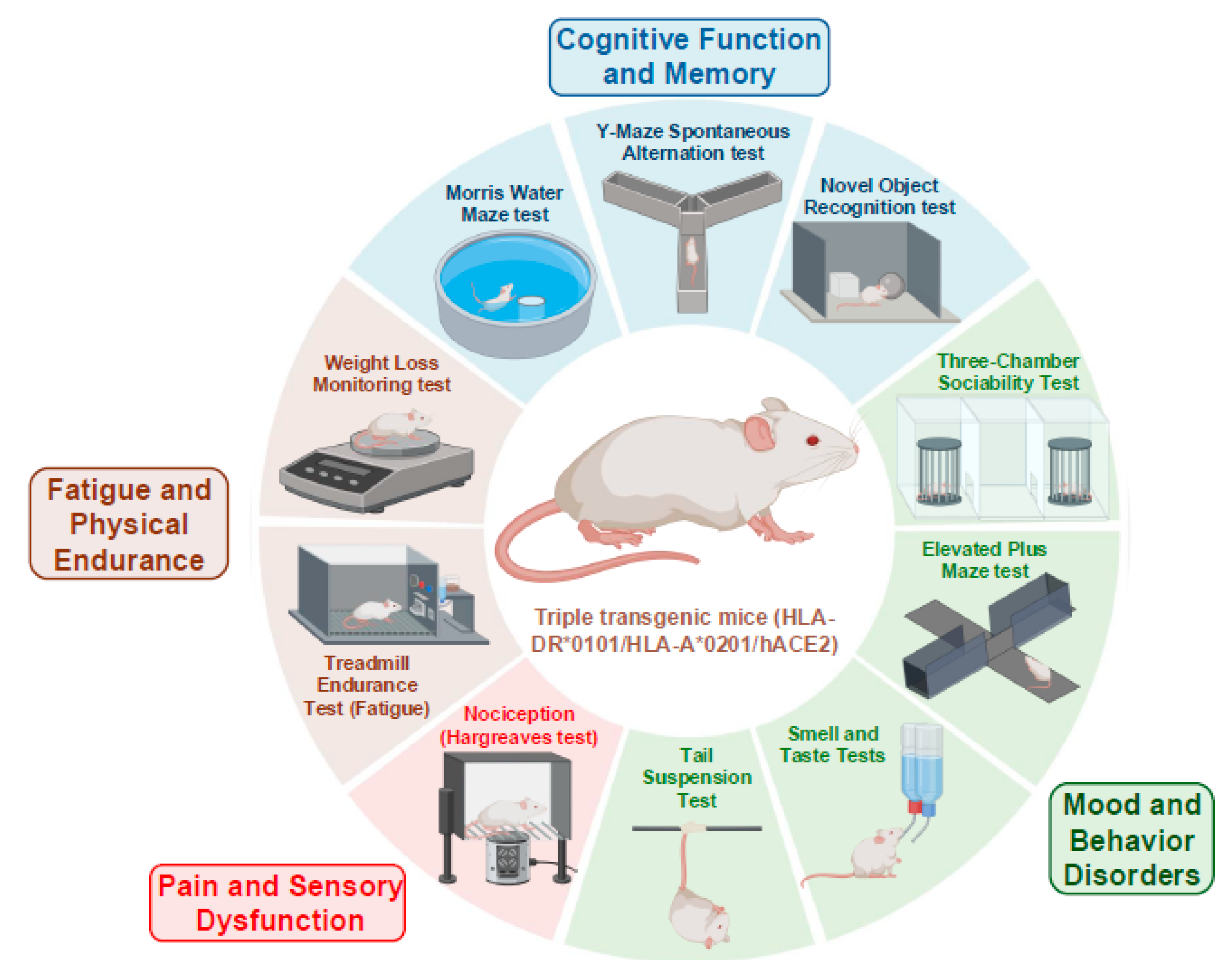 Preprints 176376 g007