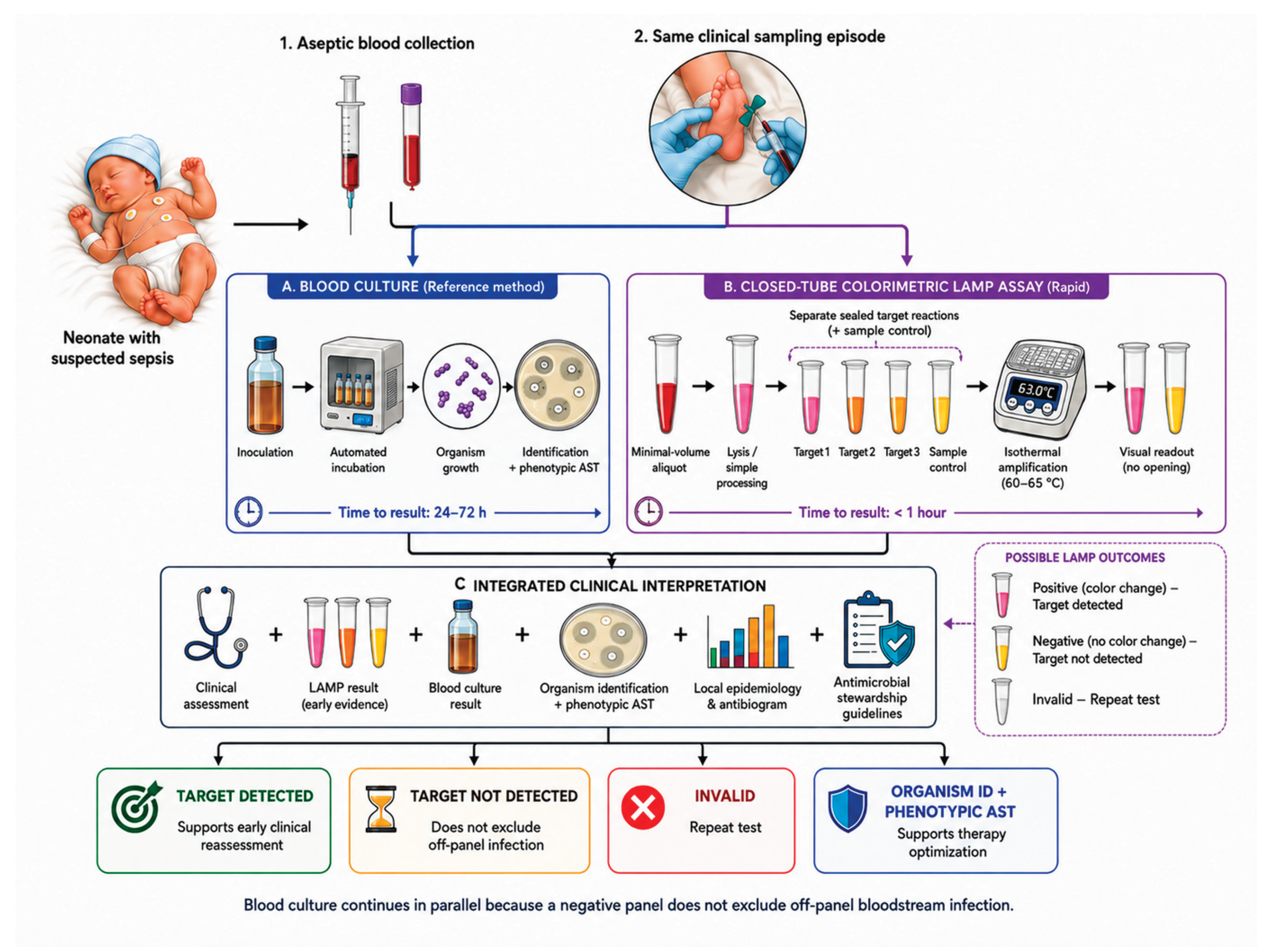 Preprints 226764 g001 Preprints 226764 g001