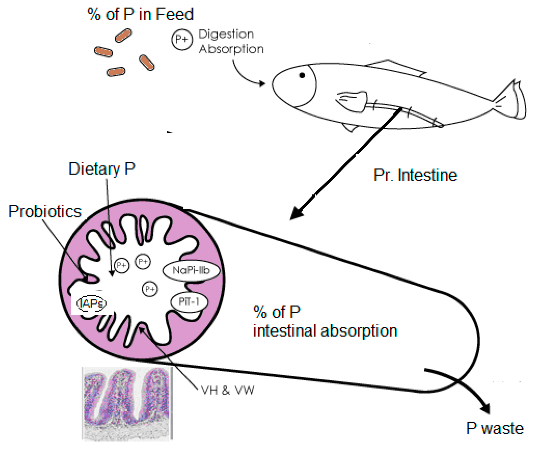 Preprints 78438 g001
