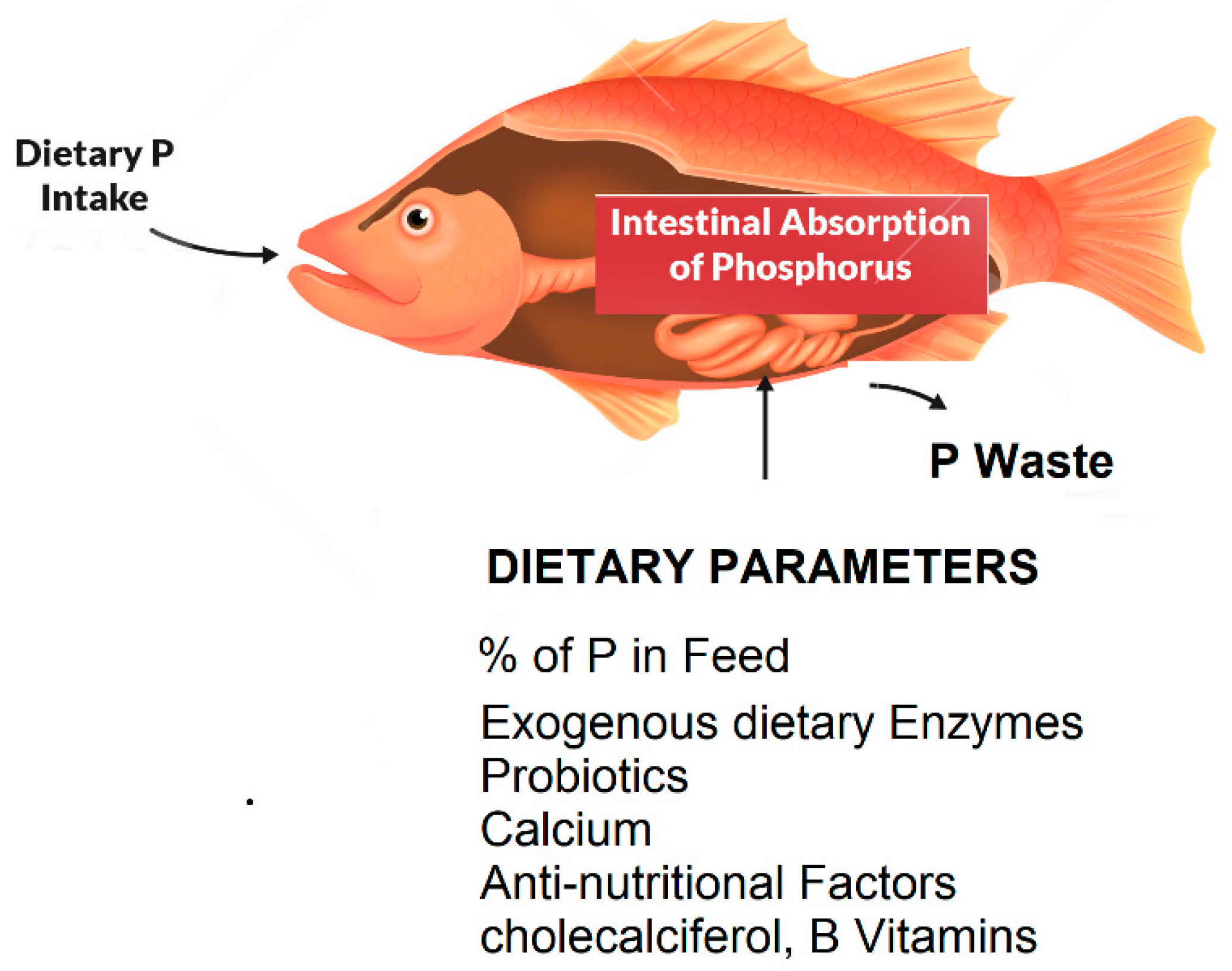 Preprints 78438 g002
