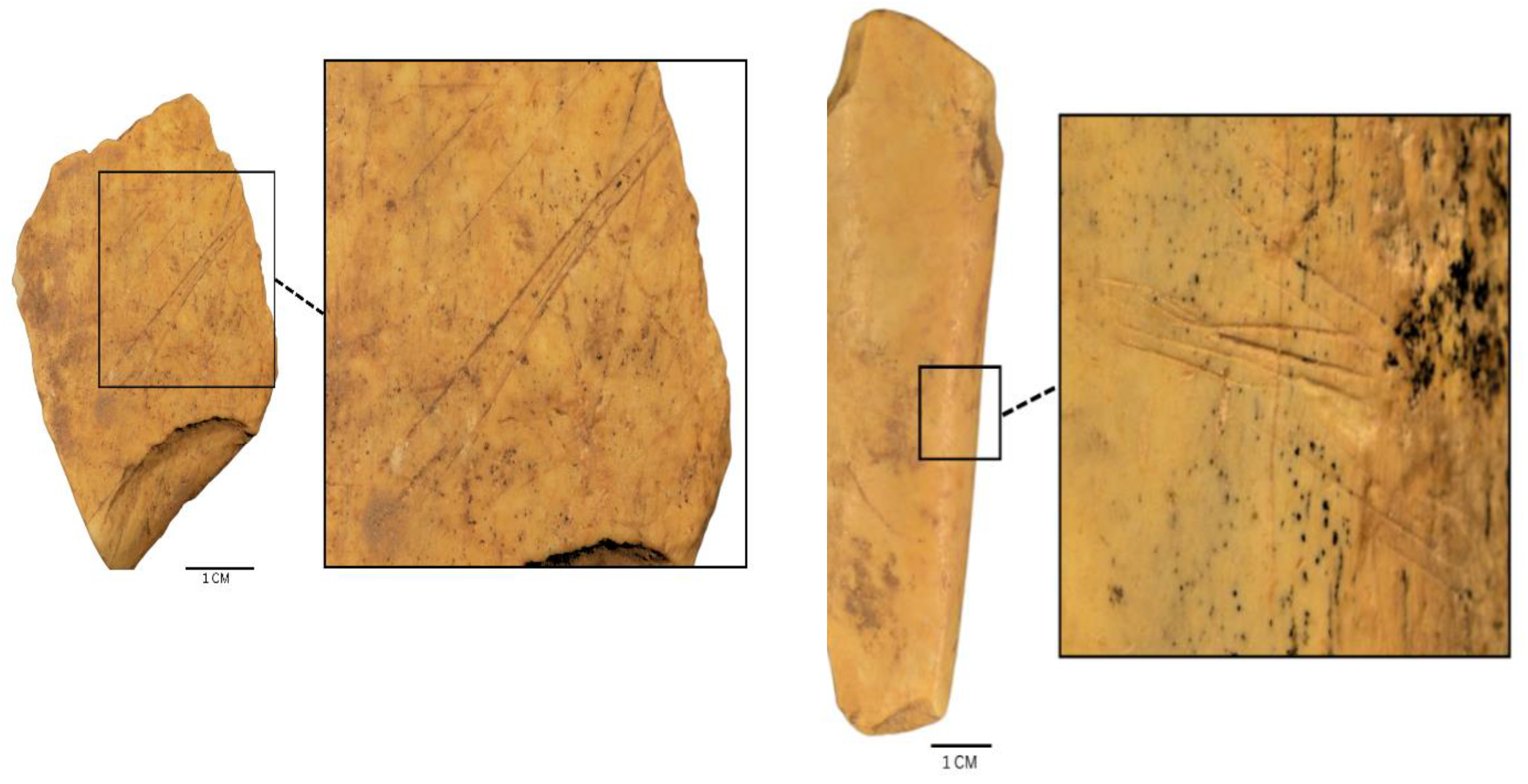 Preprints 187489 g004