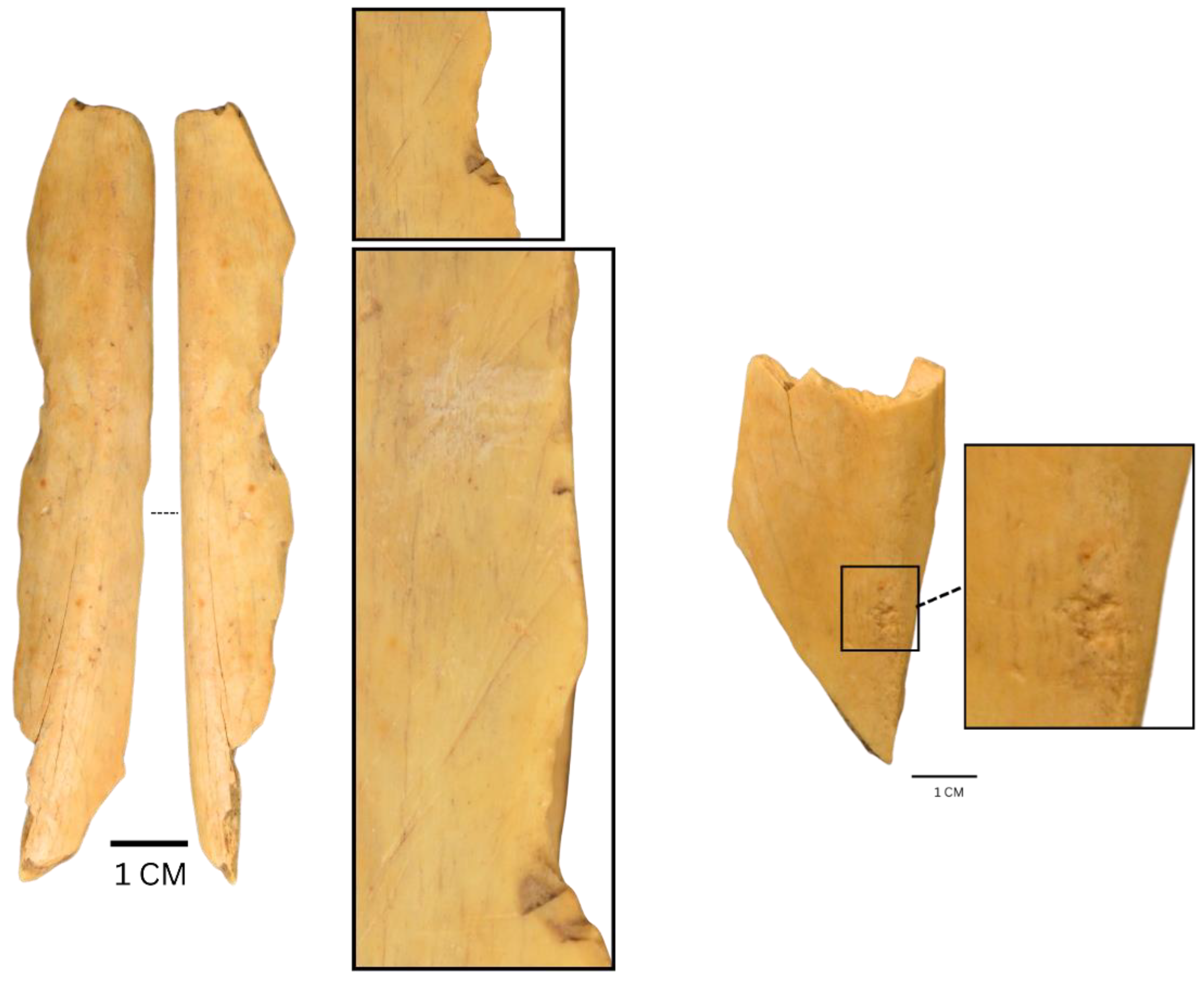 Preprints 187489 g005