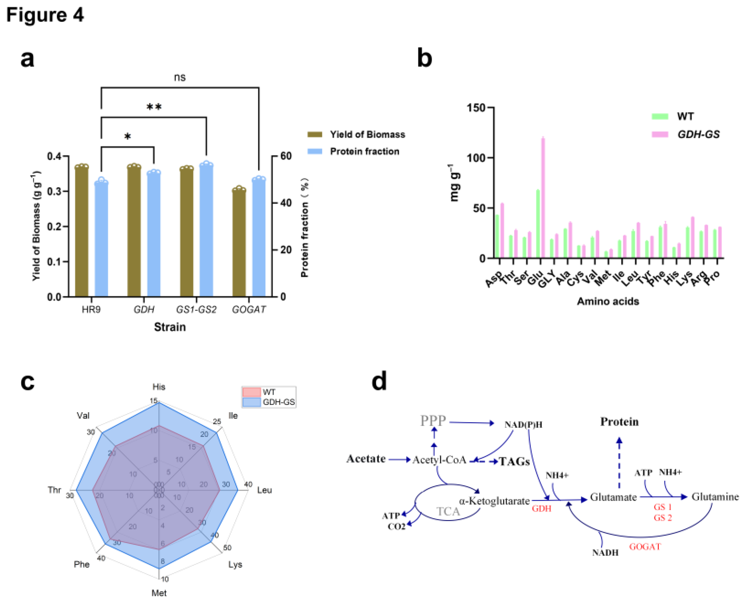 Preprints 210561 g004