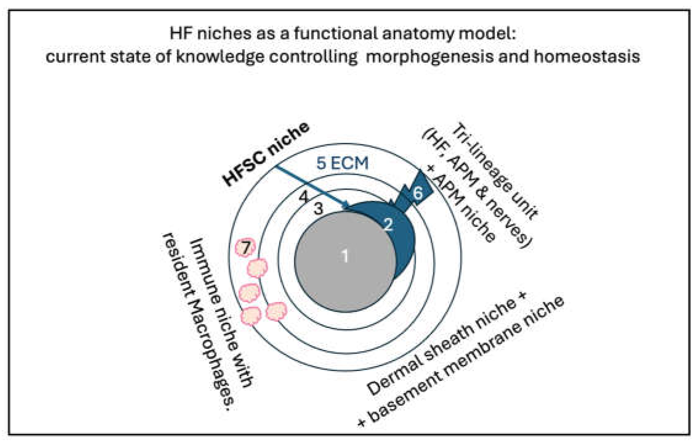 Preprints 142780 g001