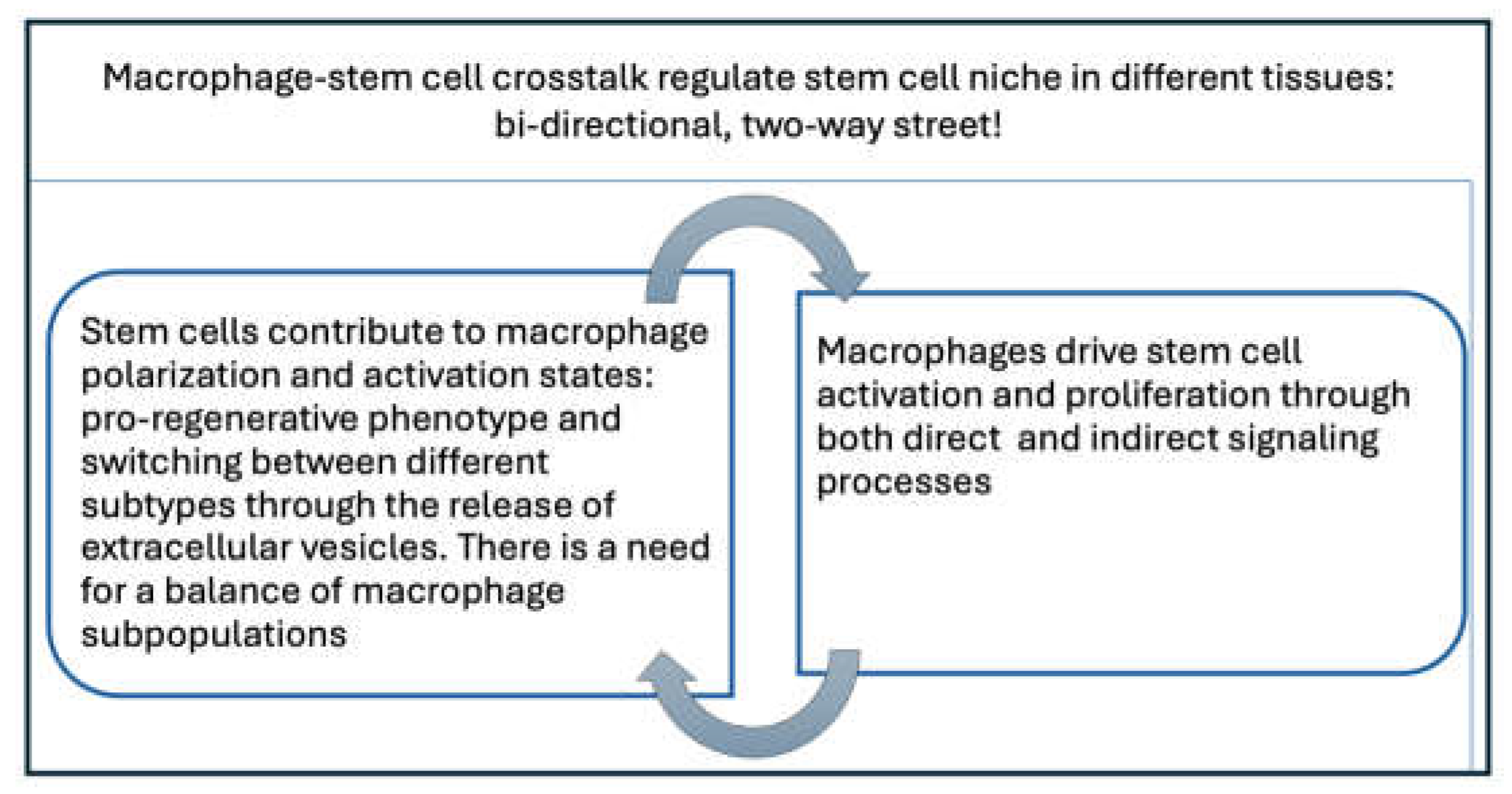 Preprints 142780 g002