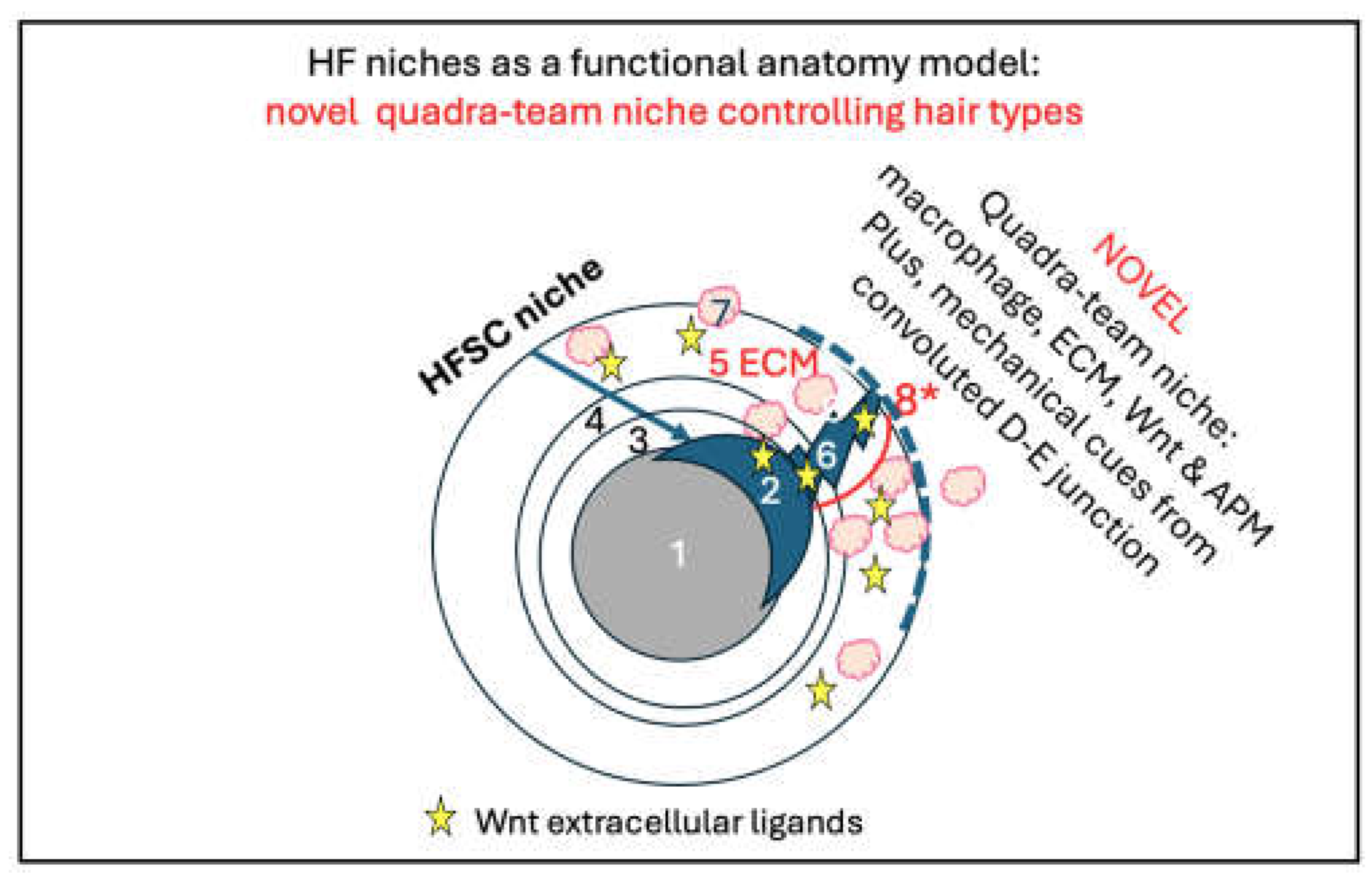 Preprints 142780 g003
