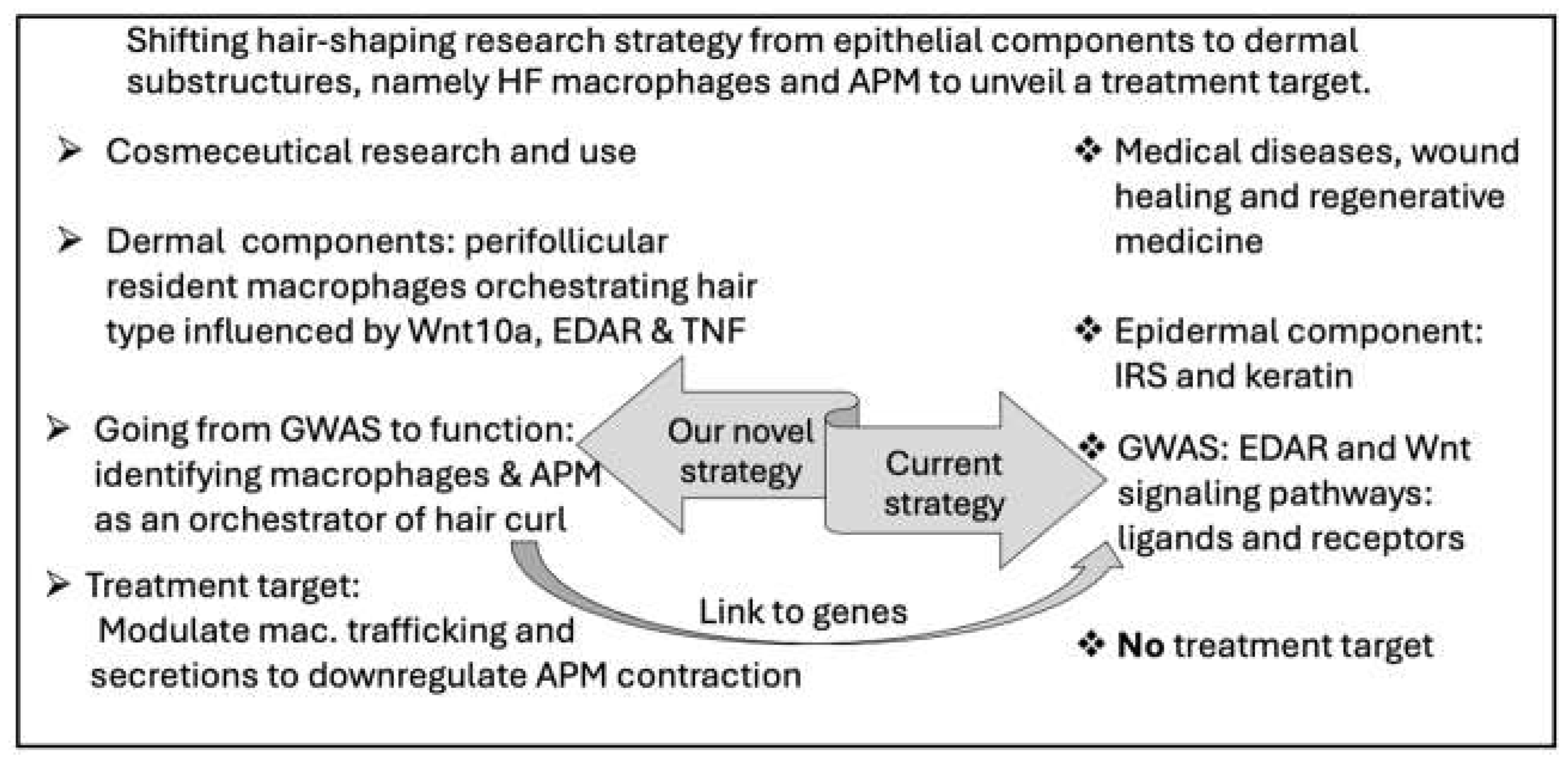 Preprints 142780 g004