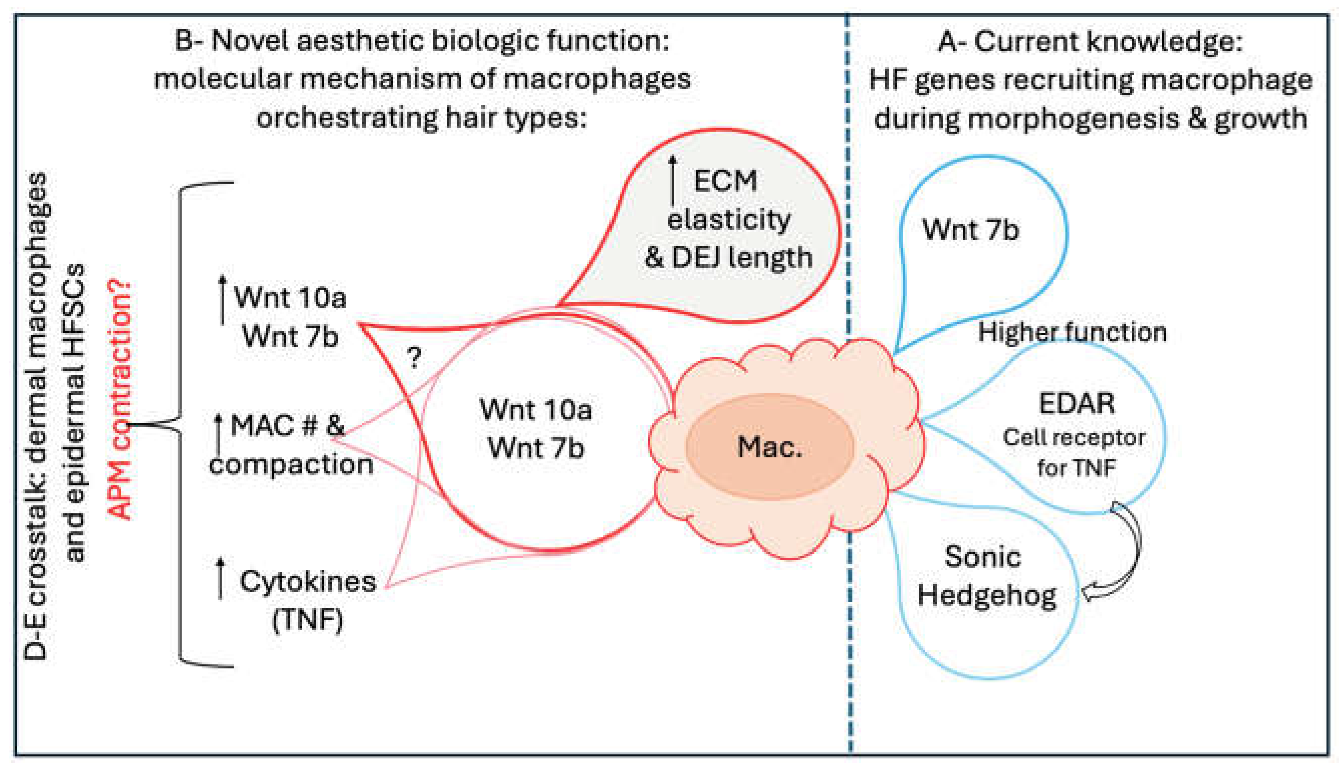 Preprints 142780 g005