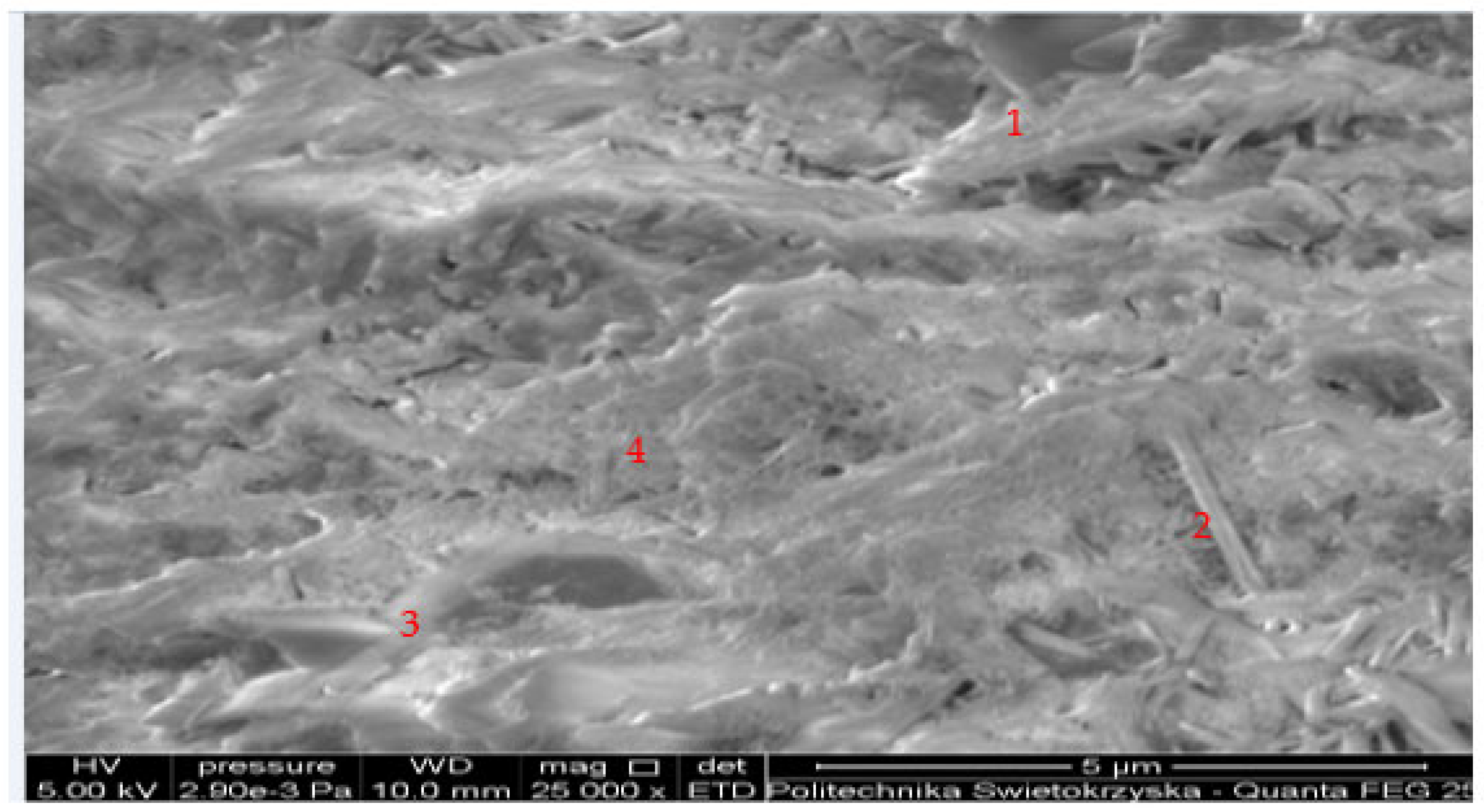 Preprints 155529 g011