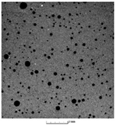 Preprints 155529 i001