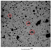 Preprints 155529 i002