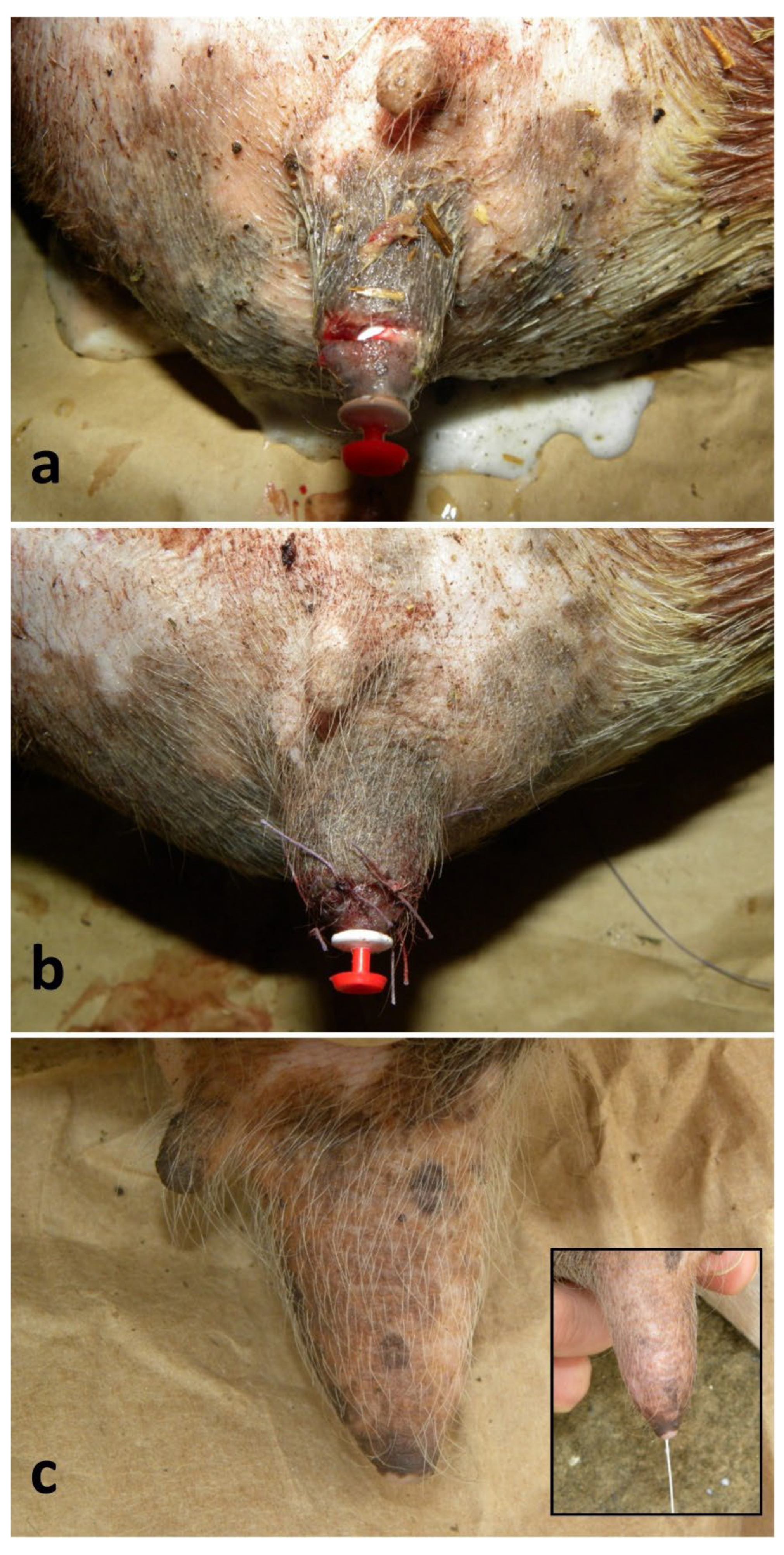 Preprints 190390 g002
