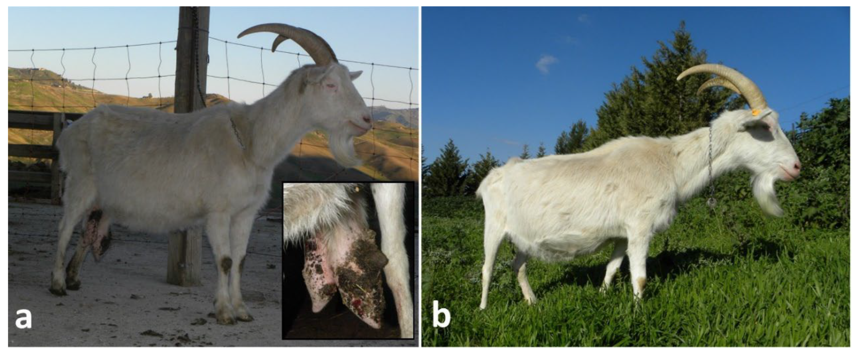 Preprints 190390 g006