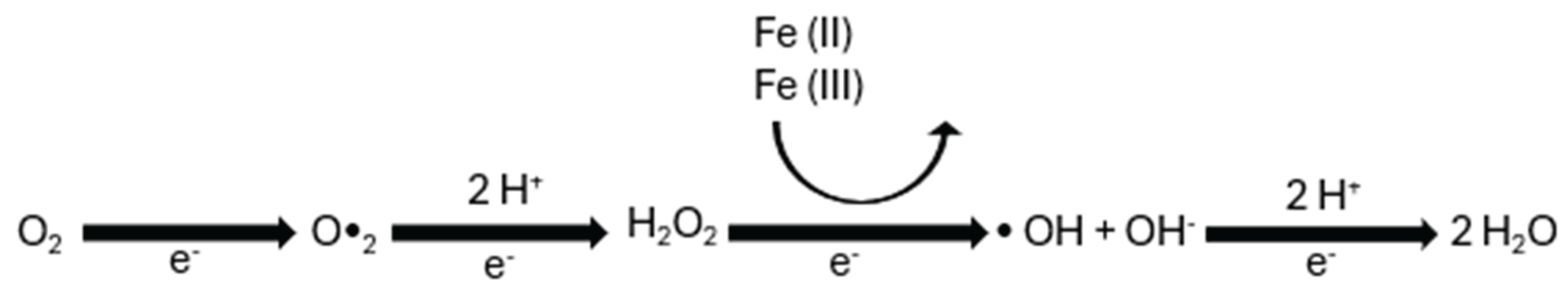 Preprints 166529 g002