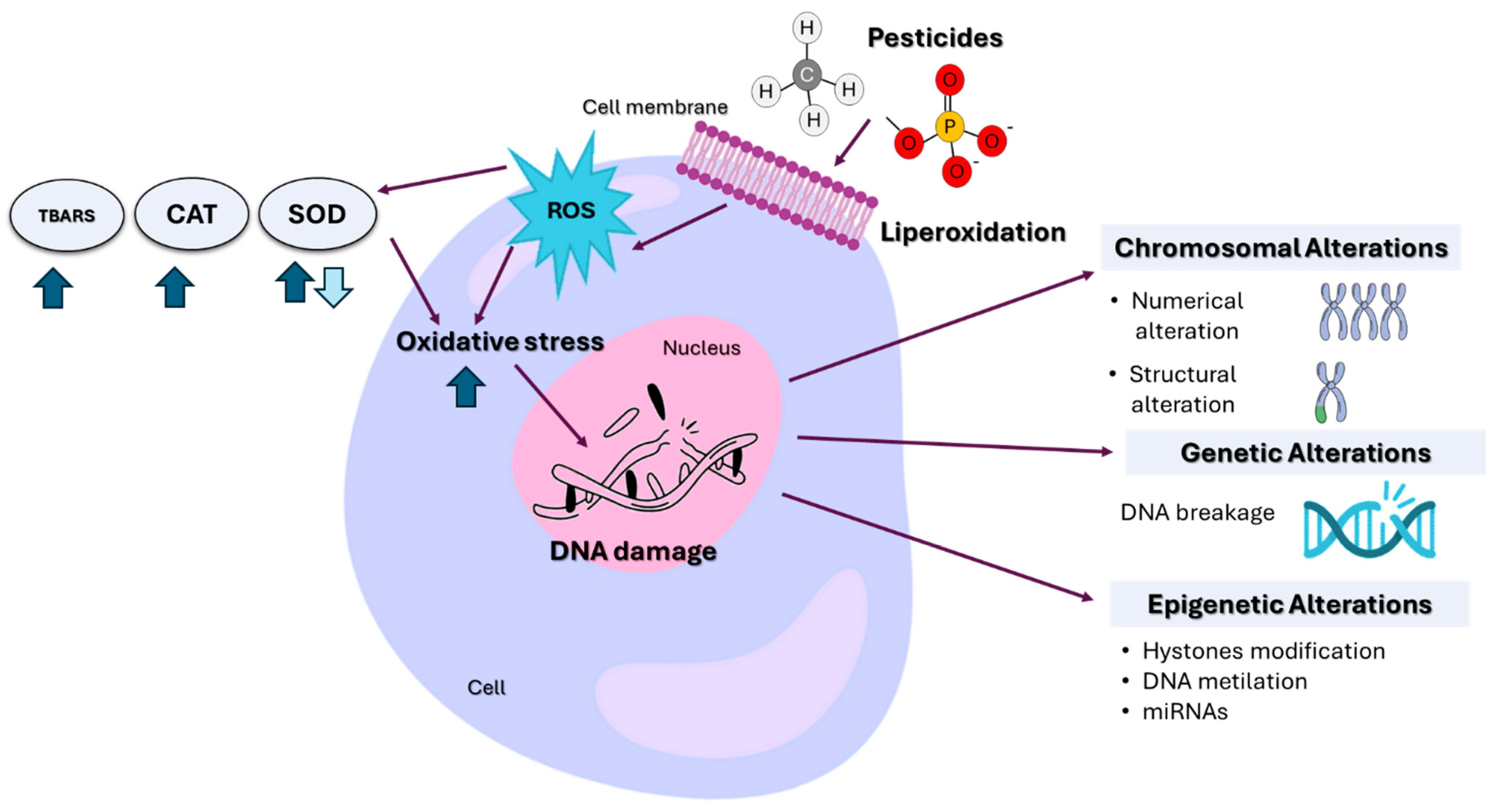 Preprints 166529 g003