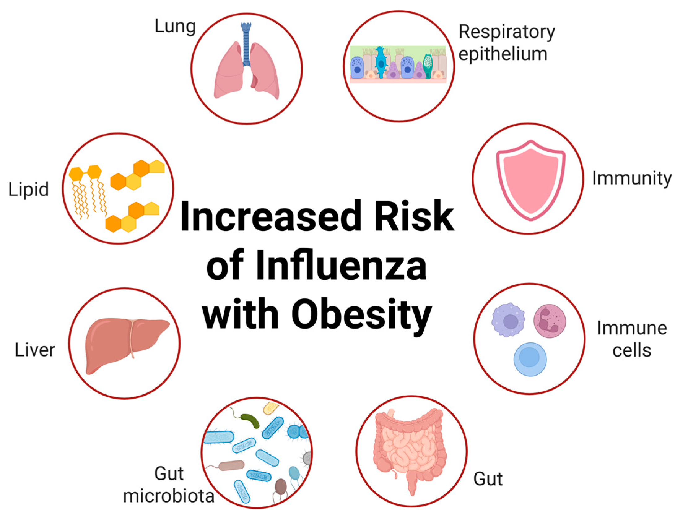 Preprints 166396 g001