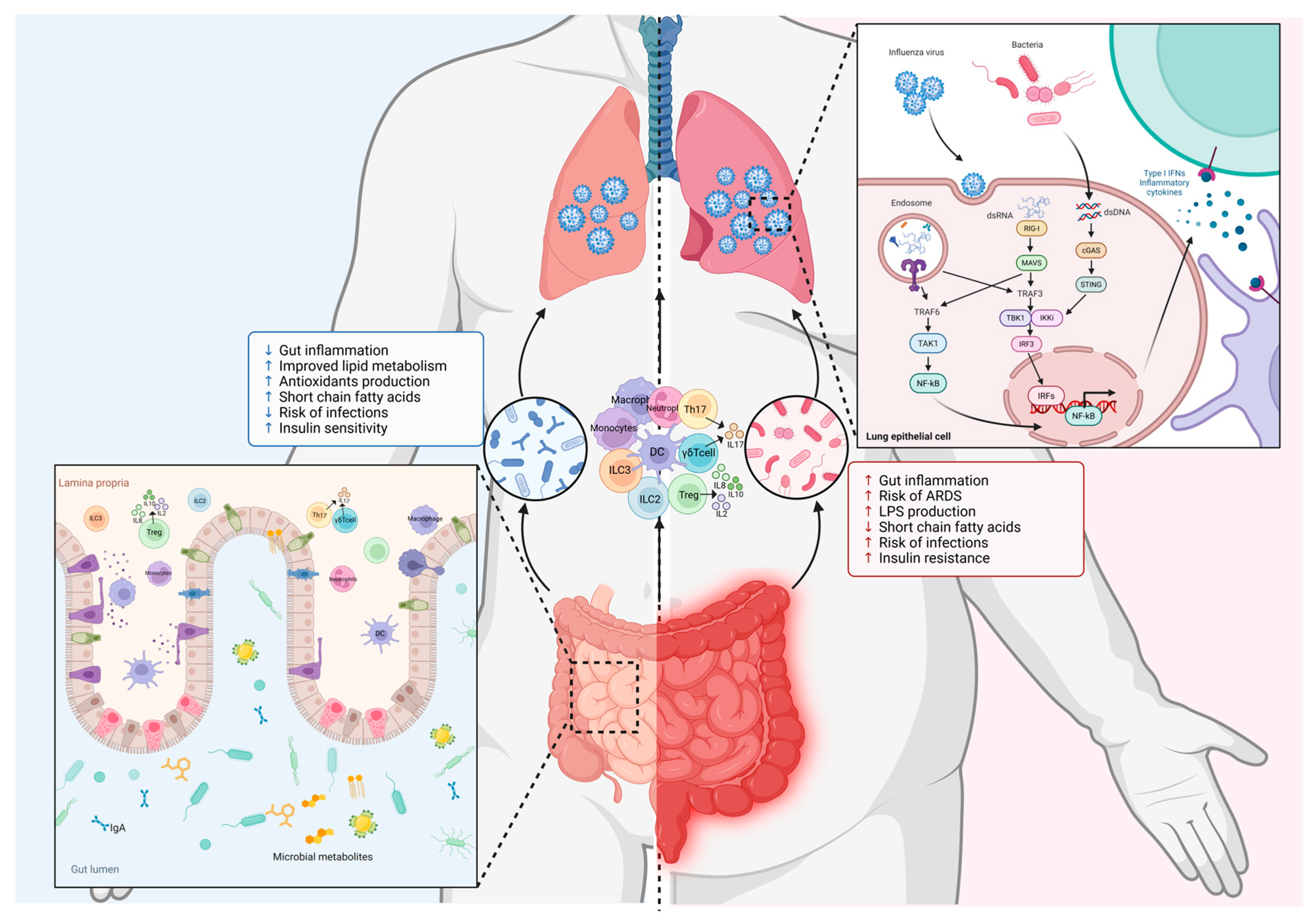 Preprints 166396 g002