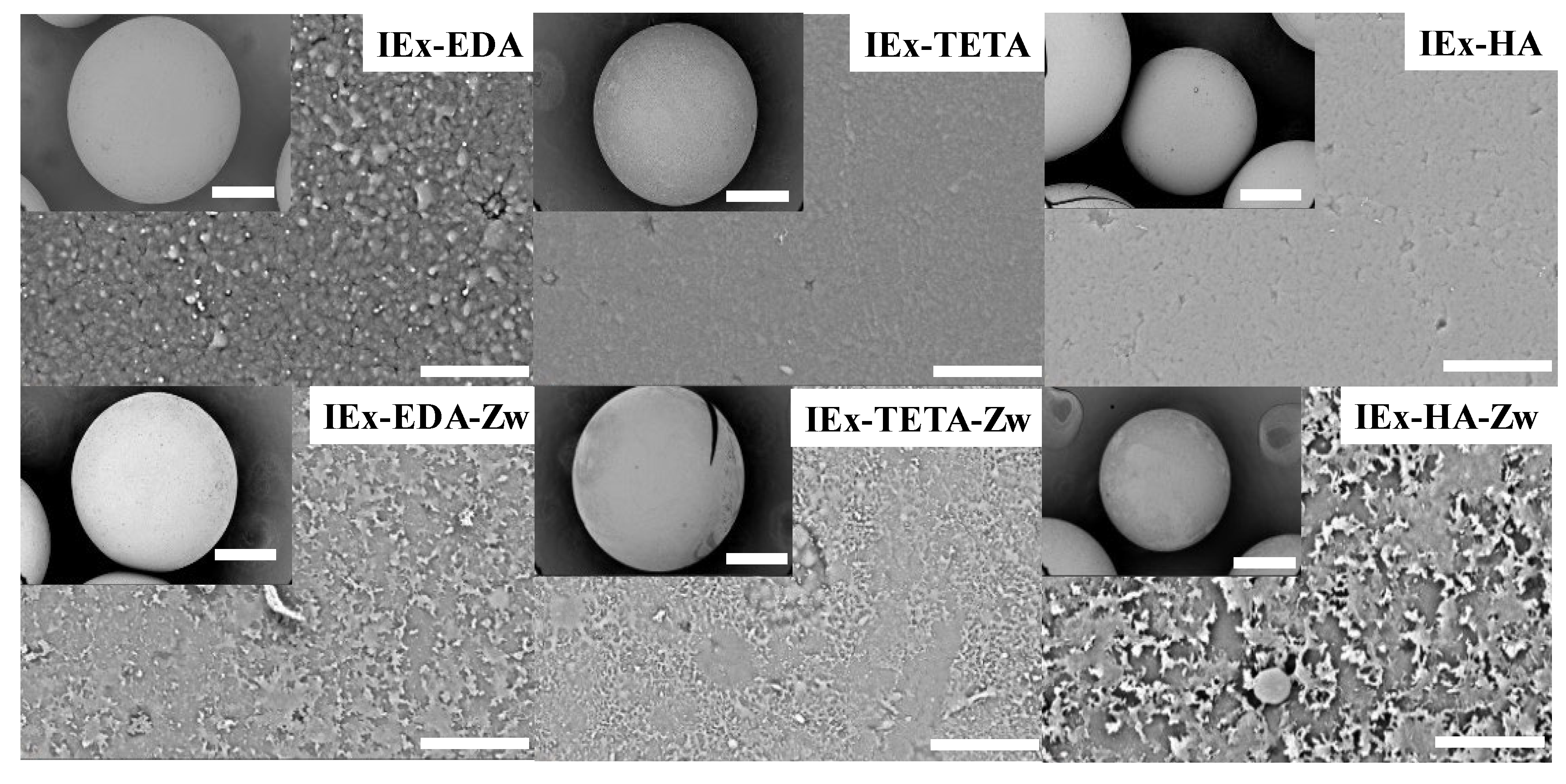 Preprints 182442 g002