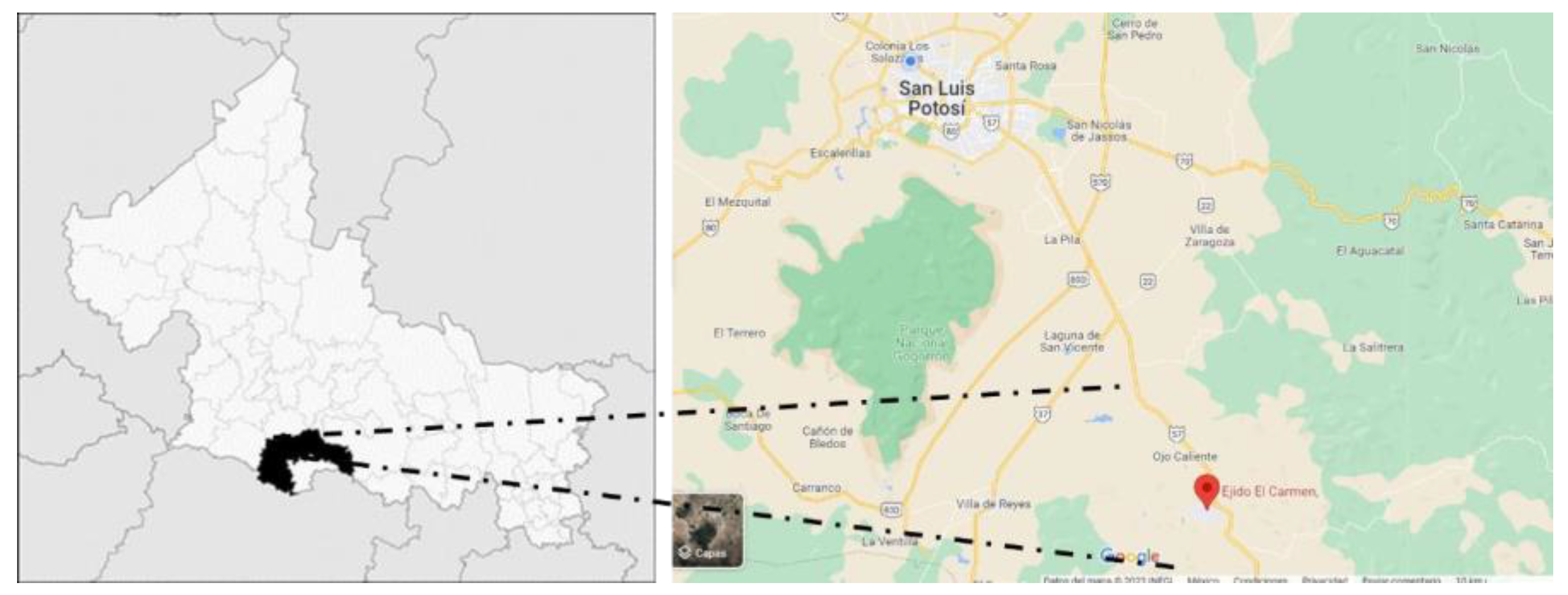 Preprints 174712 g001