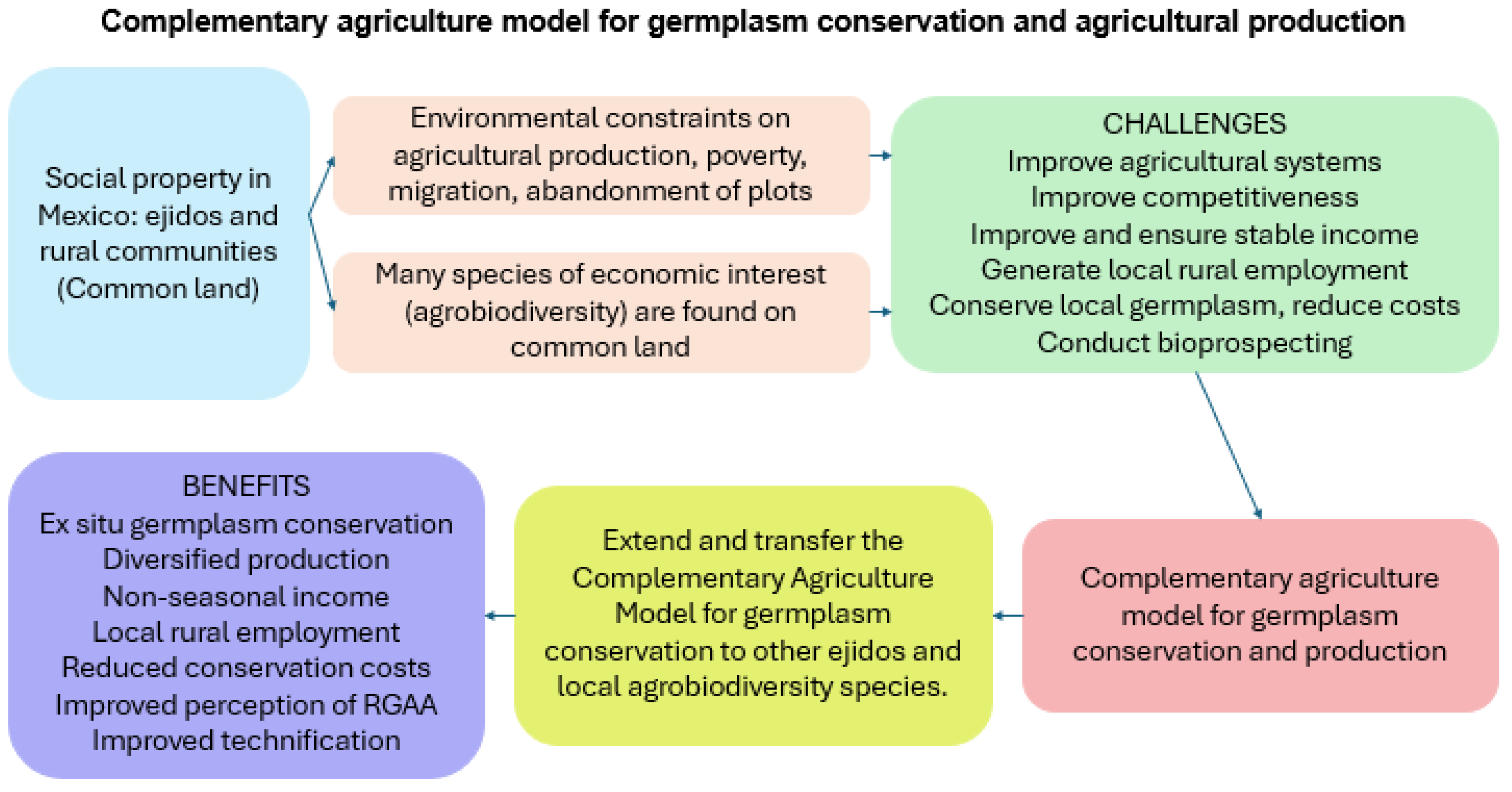 Preprints 174712 g006