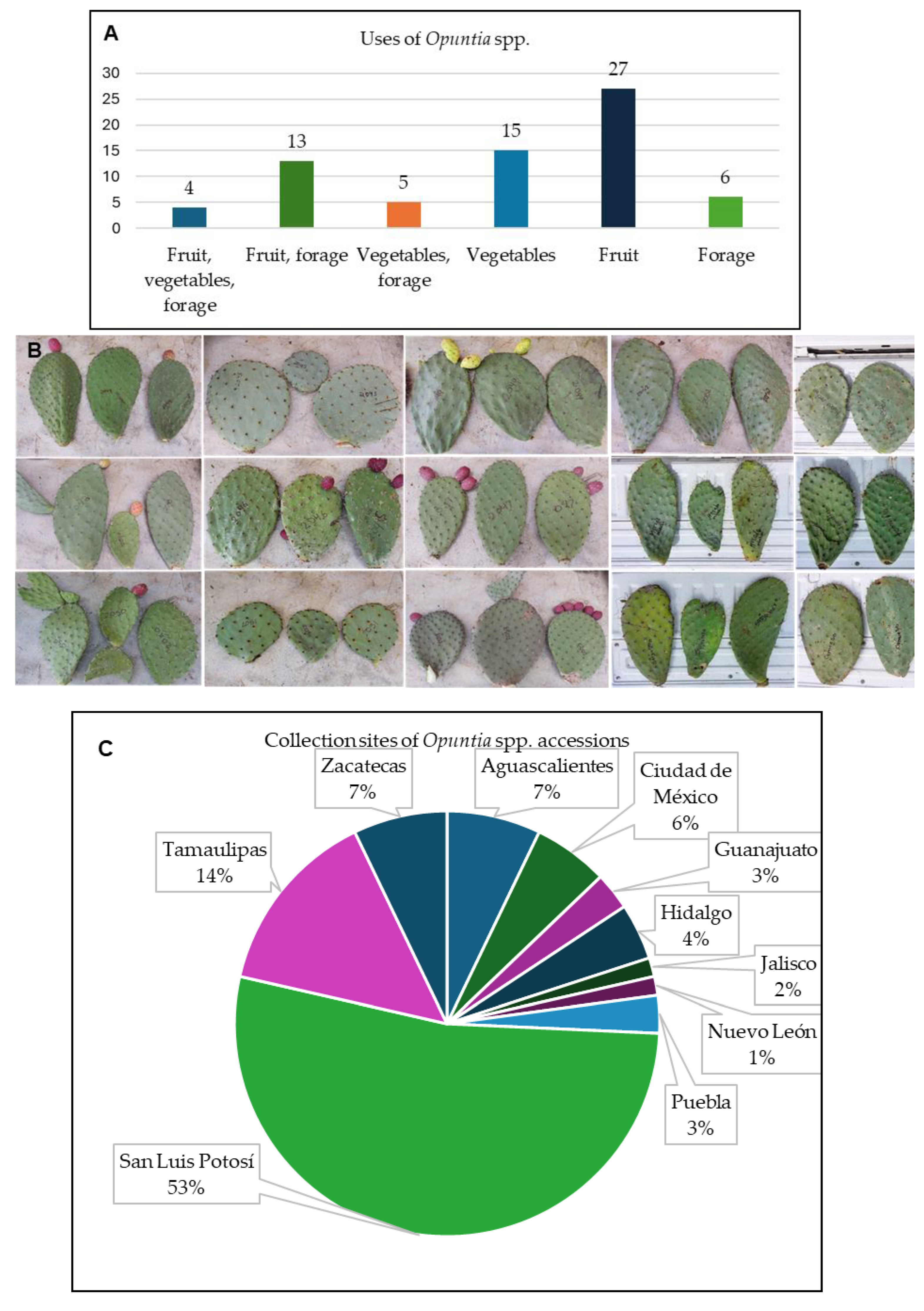 Preprints 174712 g007