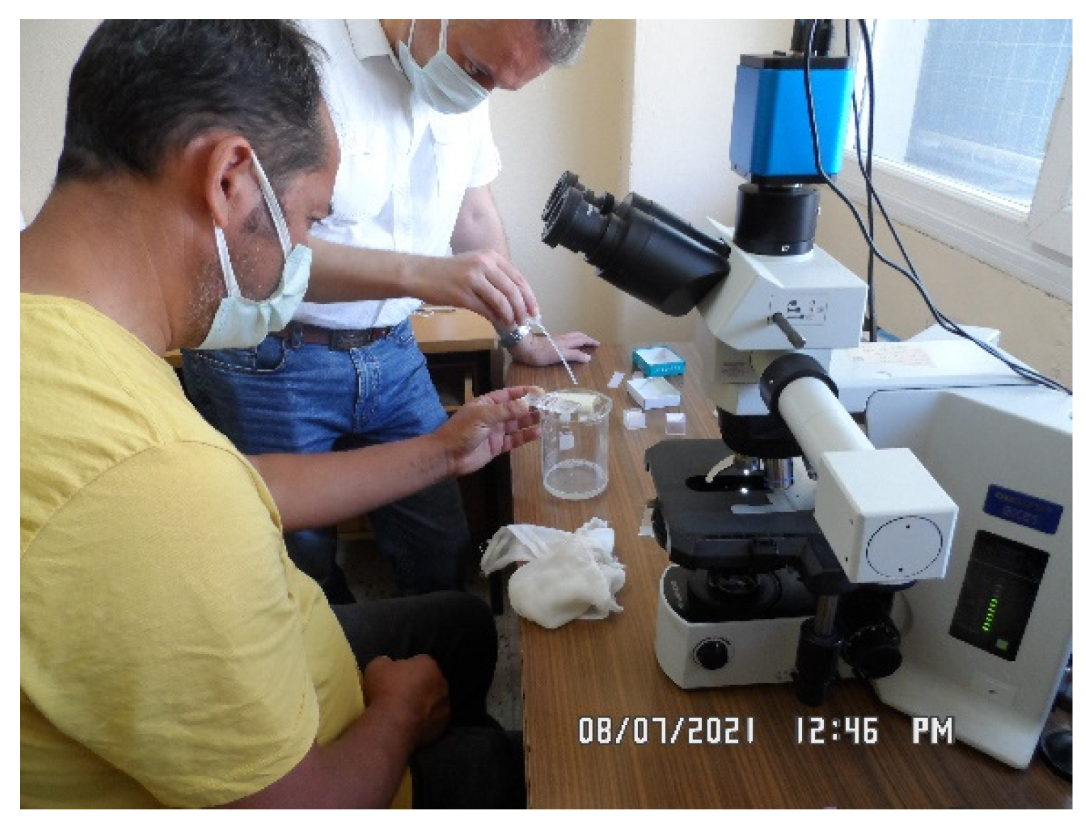 Preprints 150149 g002