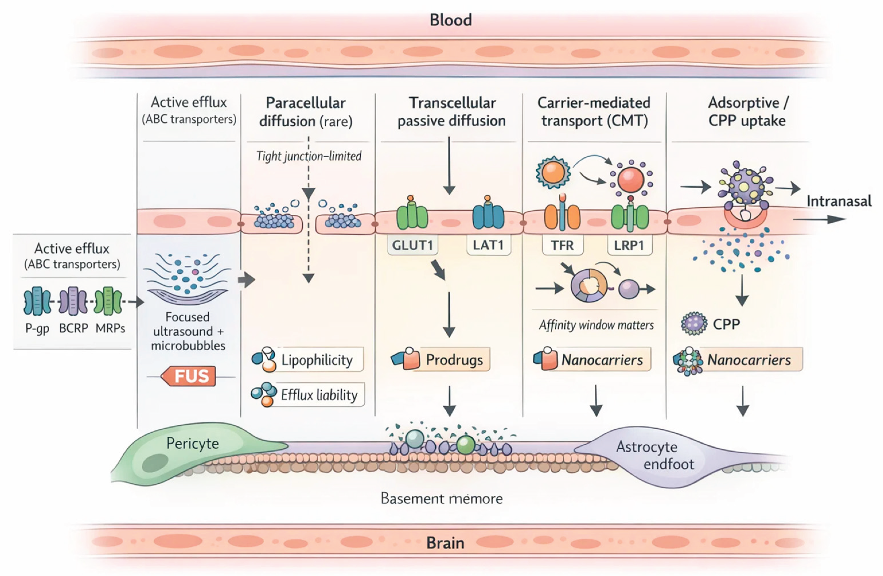 Preprints 196519 g001