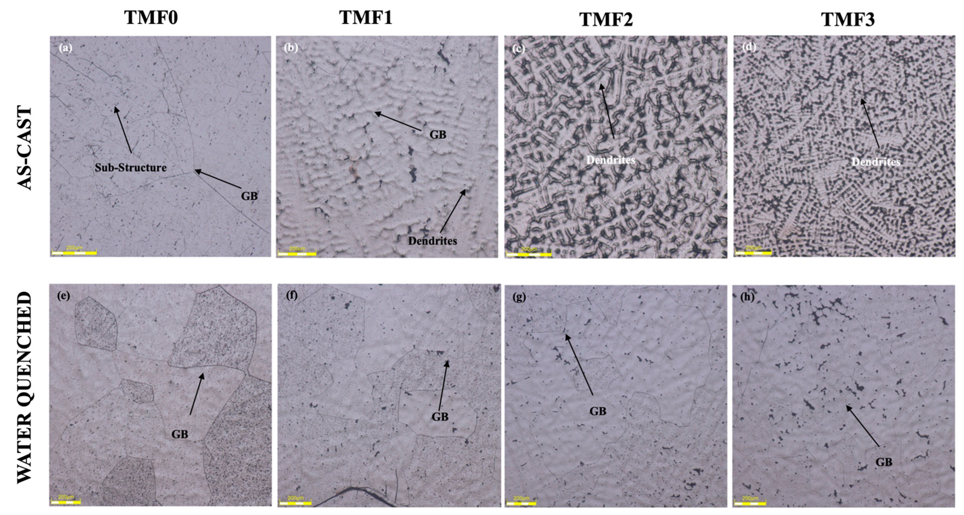 Preprints 97114 g001