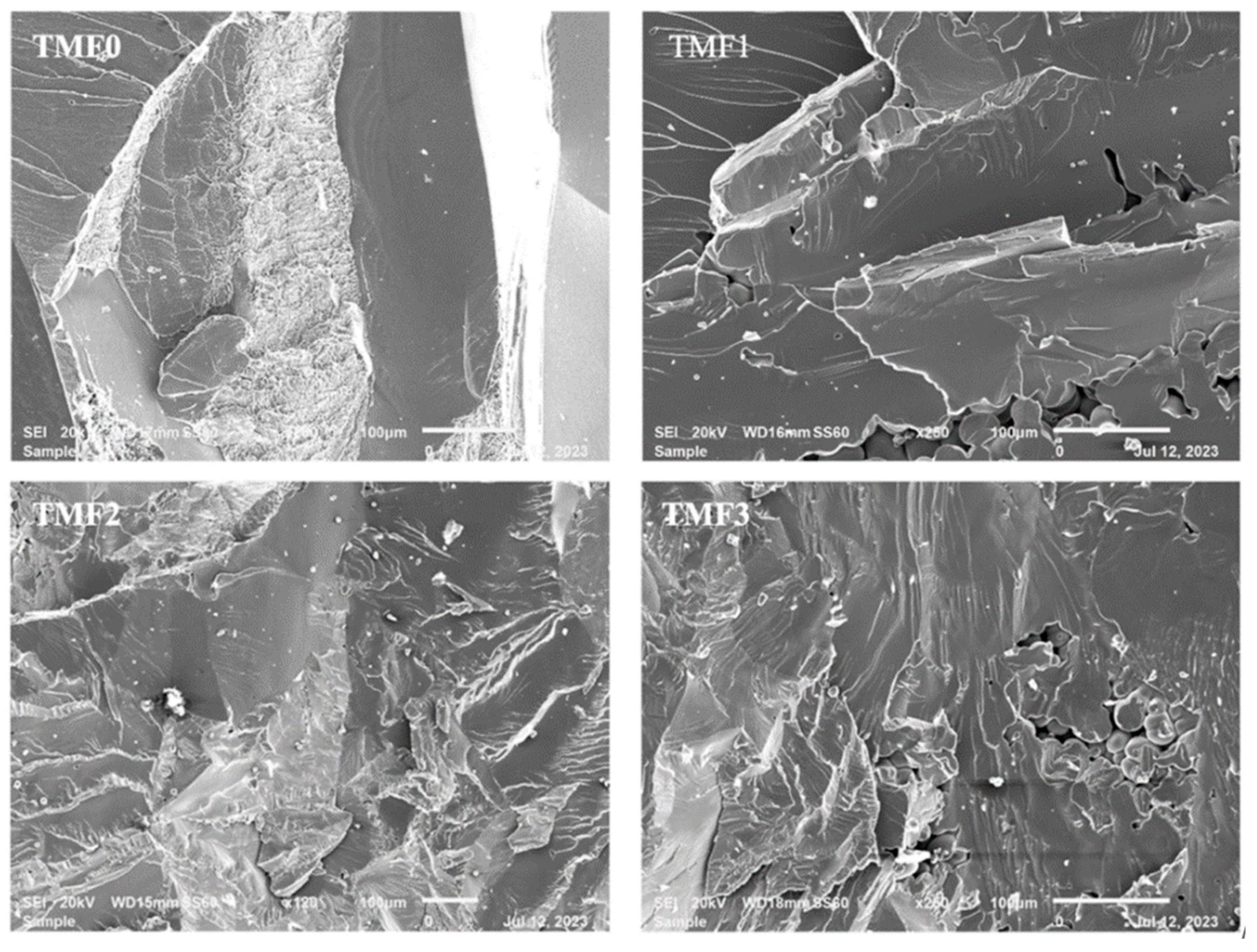 Preprints 97114 g006