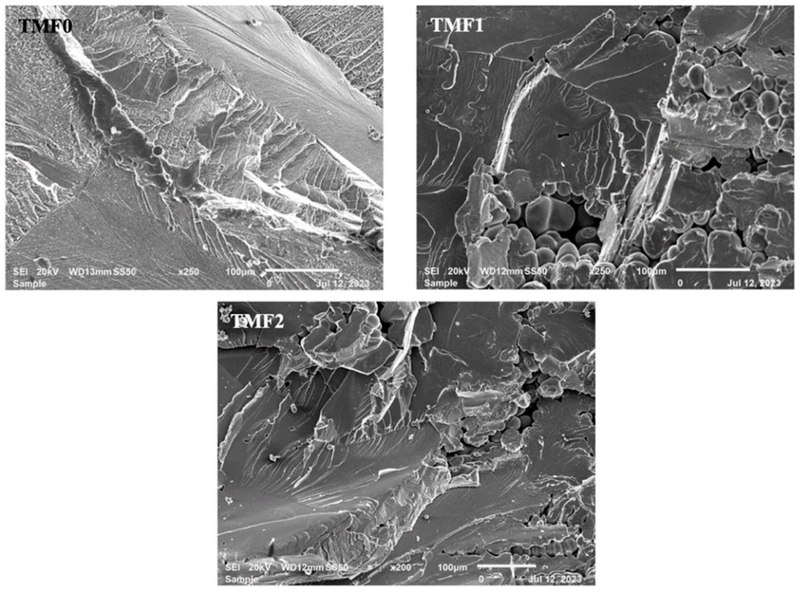 Preprints 97114 g007