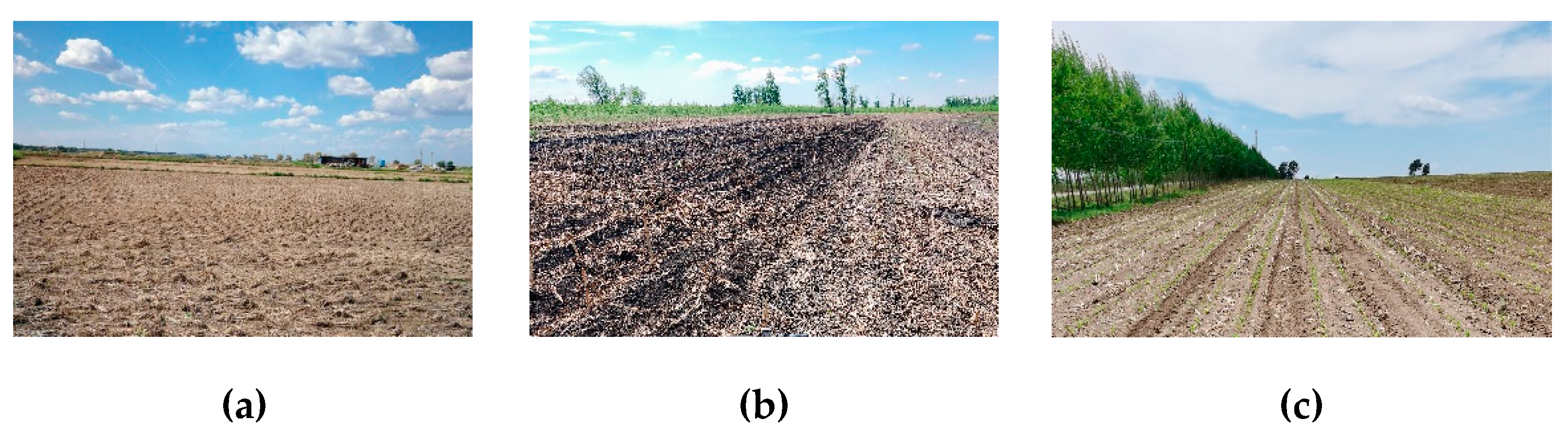 Preprints 87610 g009