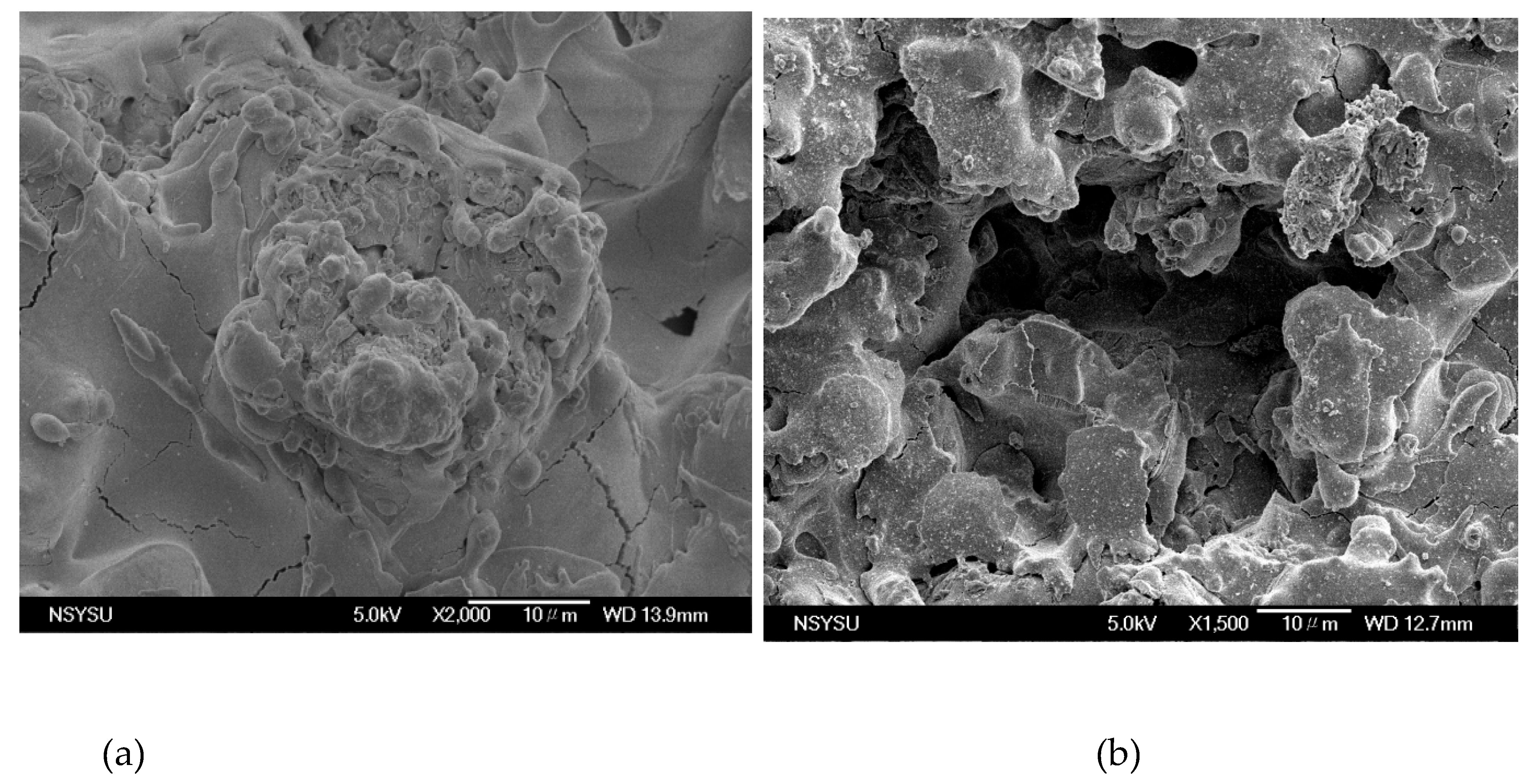 Preprints 219004 g002a