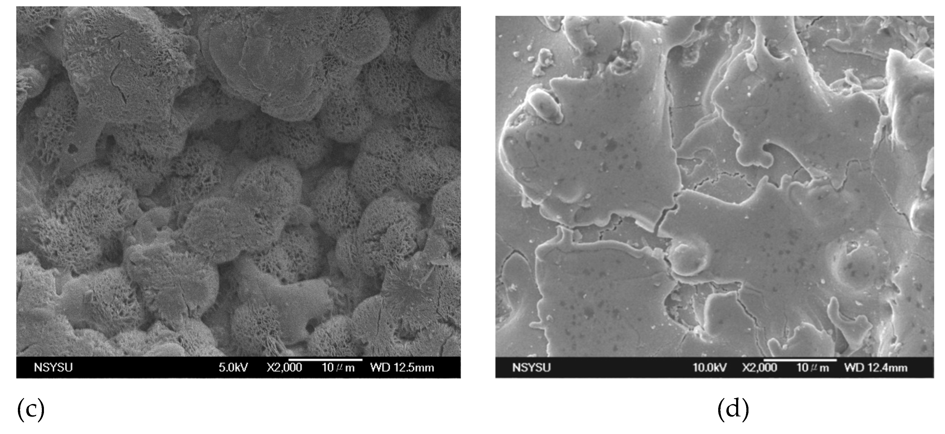 Preprints 219004 g002b