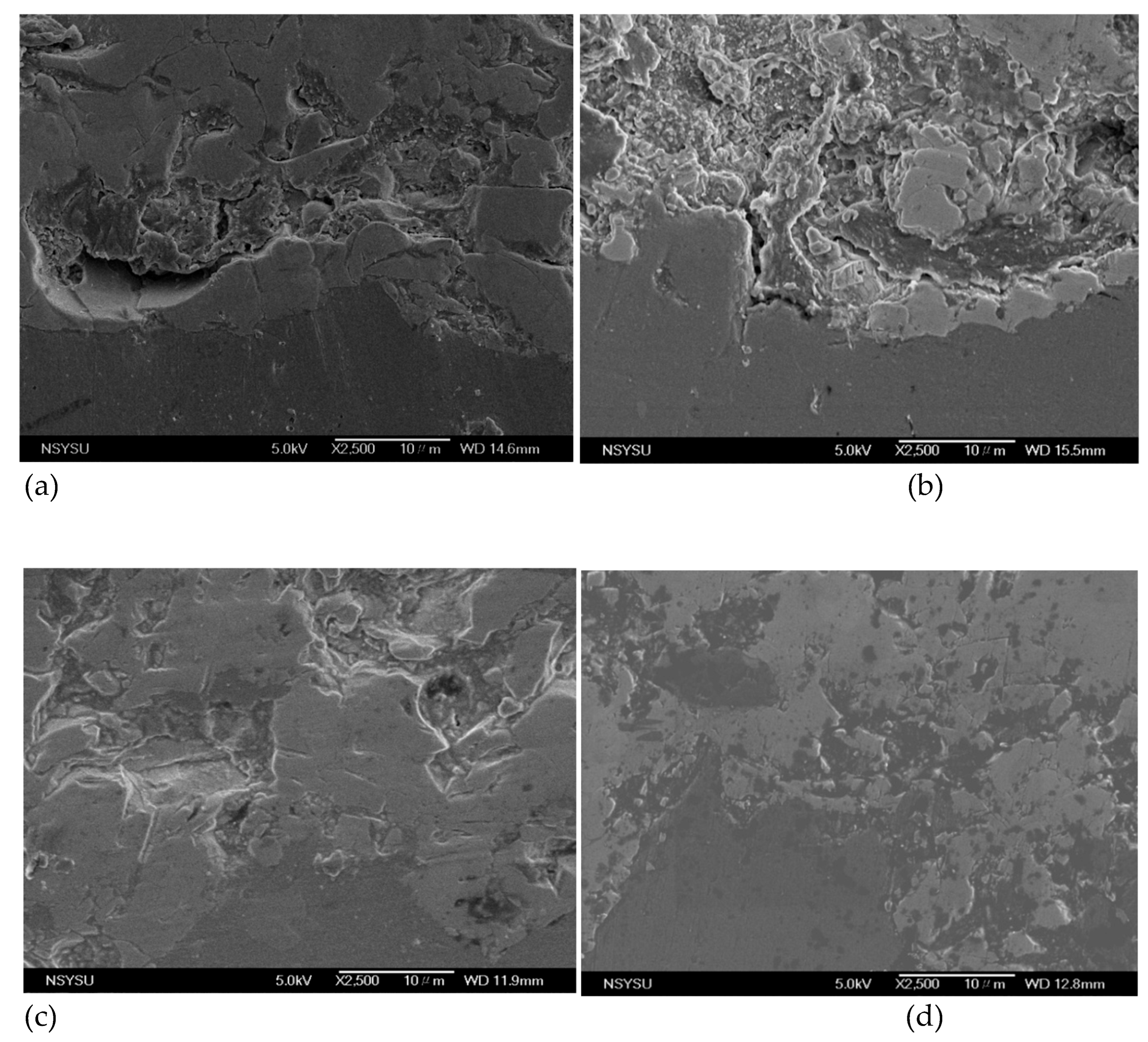 Preprints 219004 g003