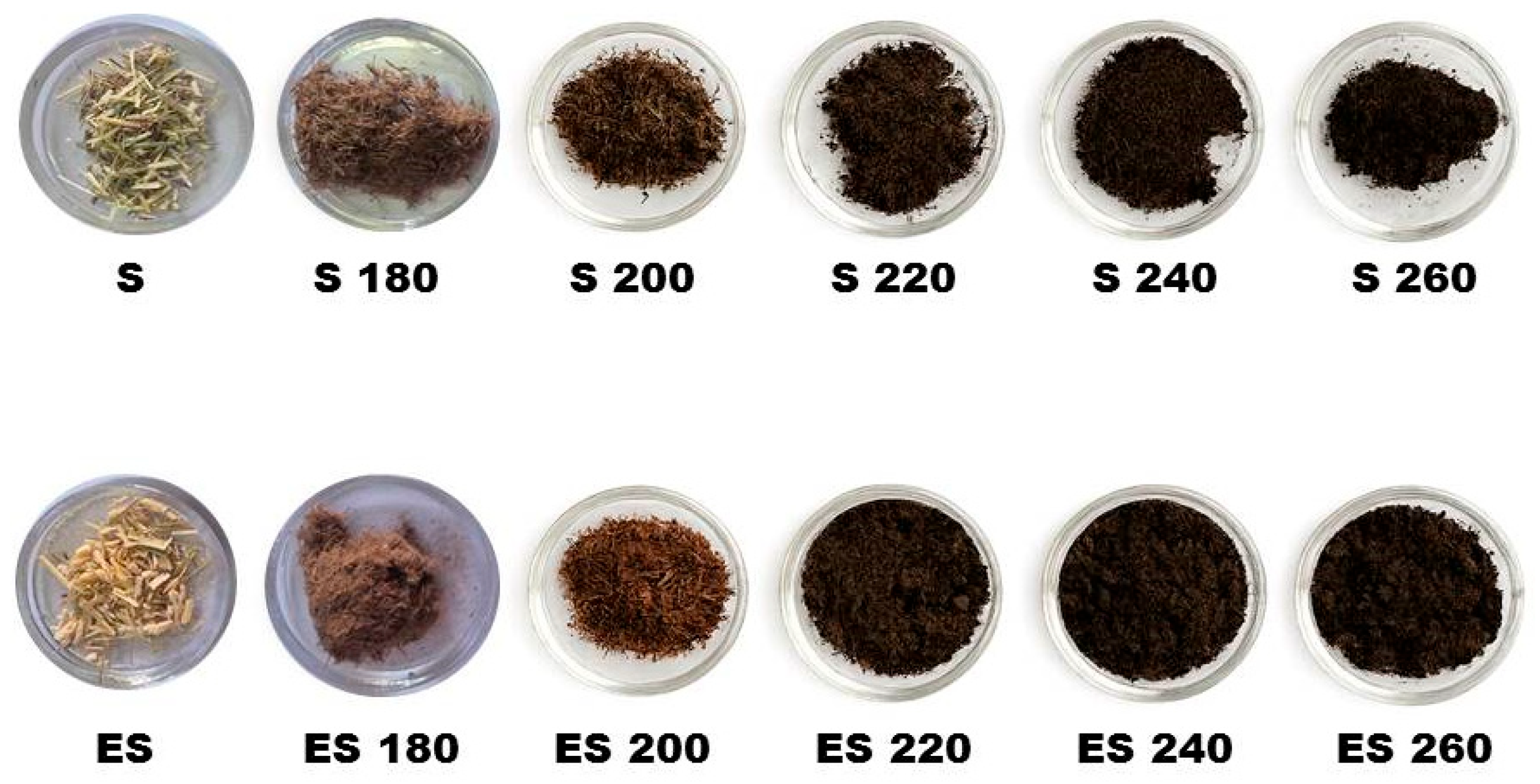 Preprints 166930 g004