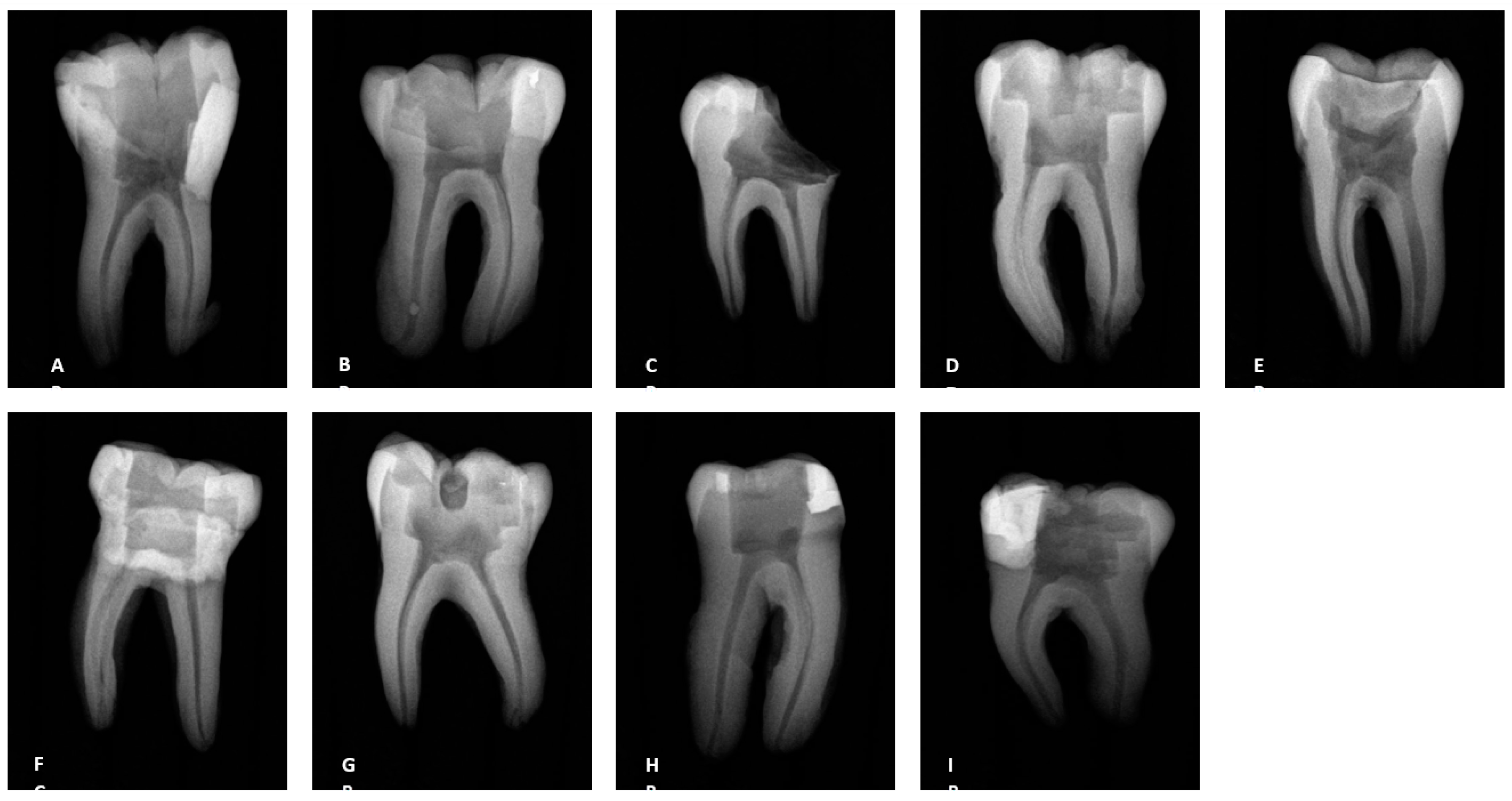 Preprints 149802 g001