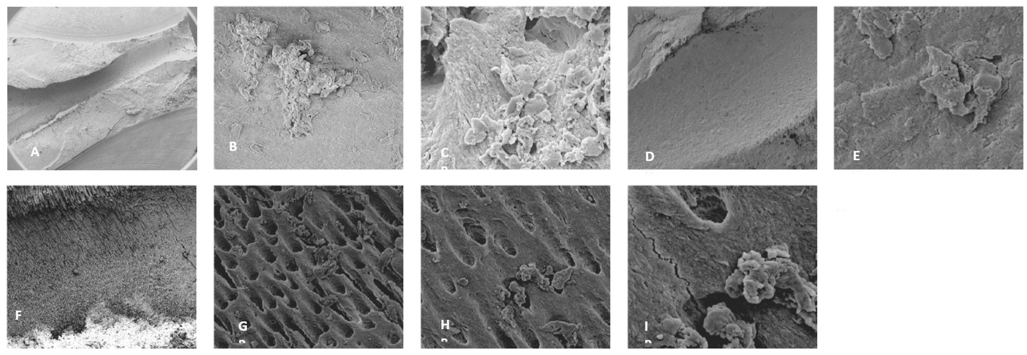 Preprints 149802 g002