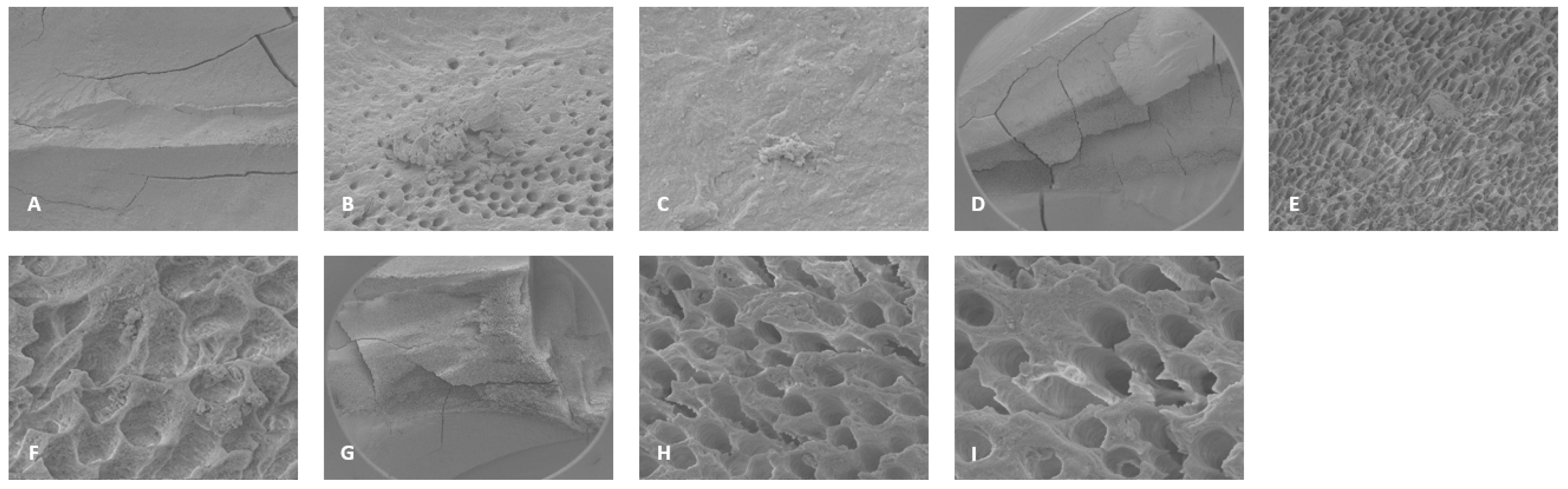 Preprints 149802 g004