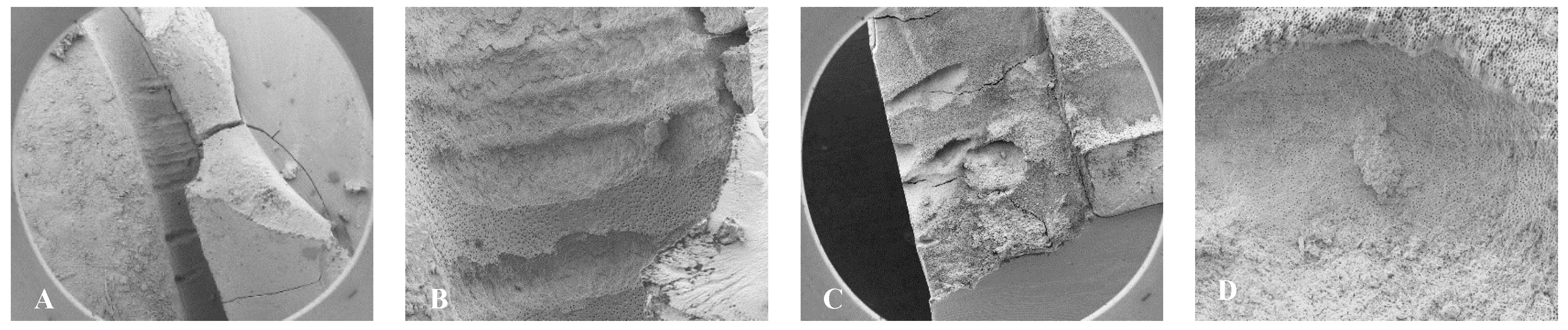 Preprints 149802 g005