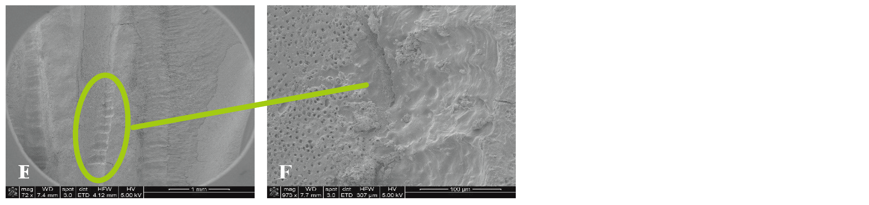 Preprints 149802 g008b