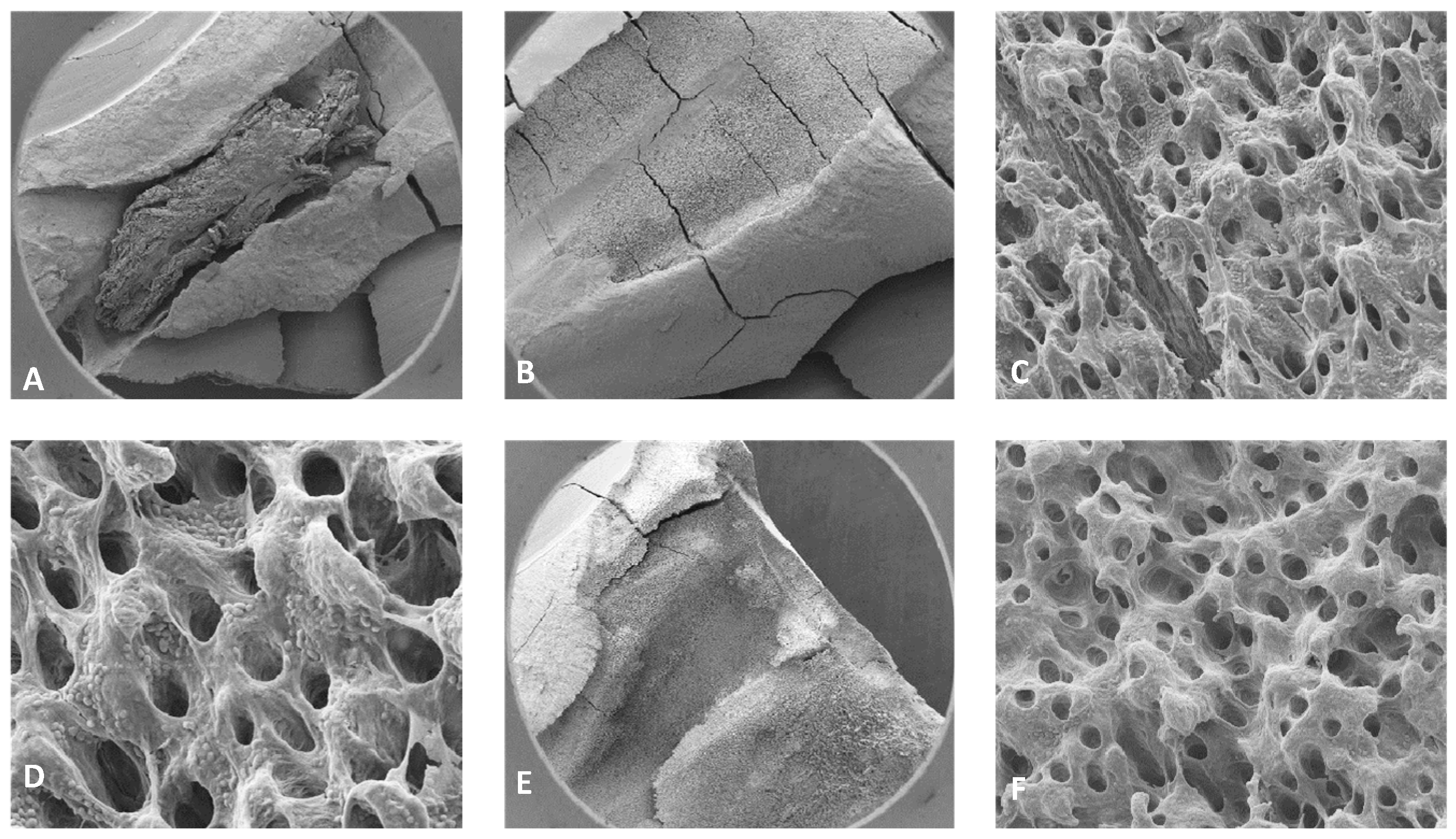 Preprints 149802 g010