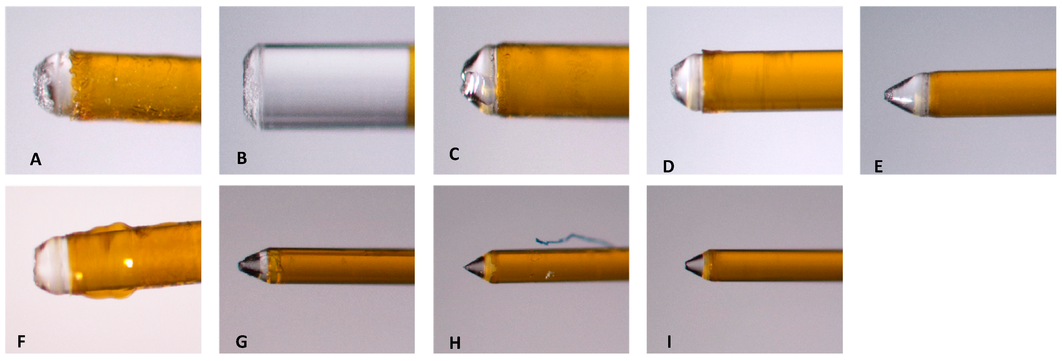 Preprints 149802 g012