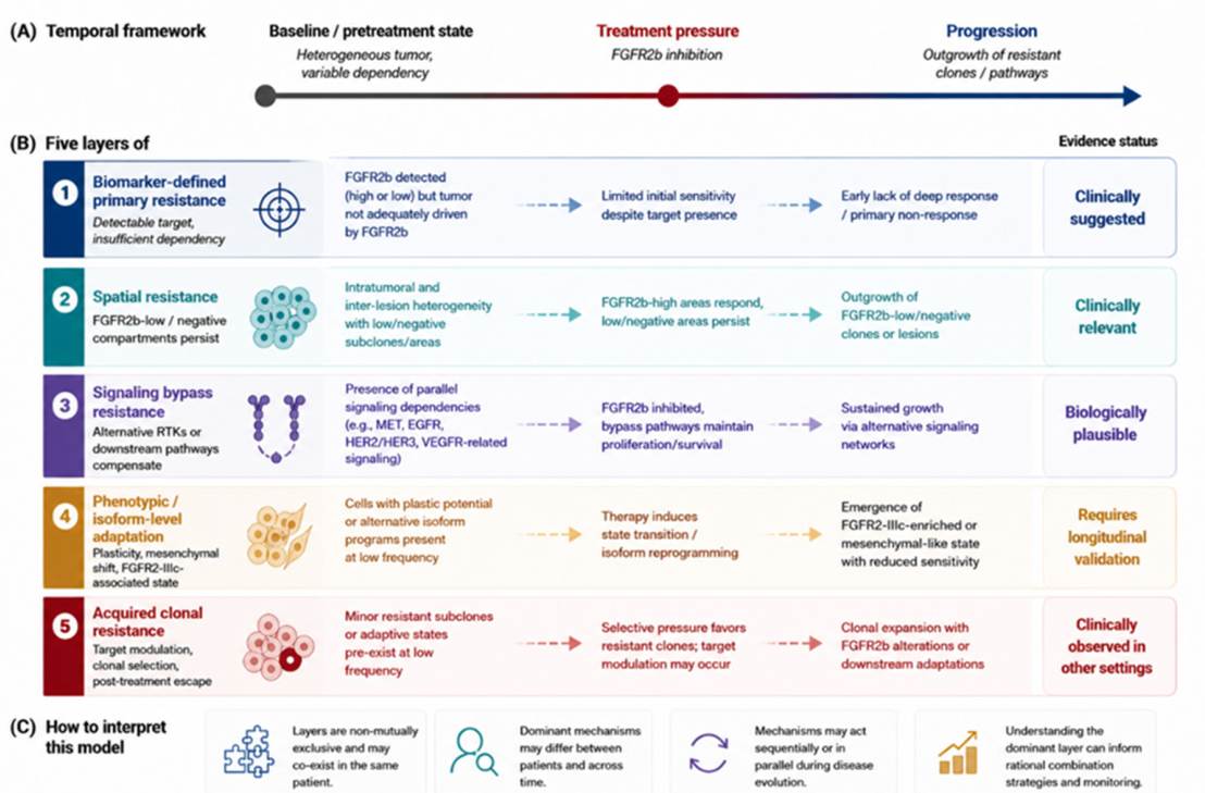 Preprints 212135 g003