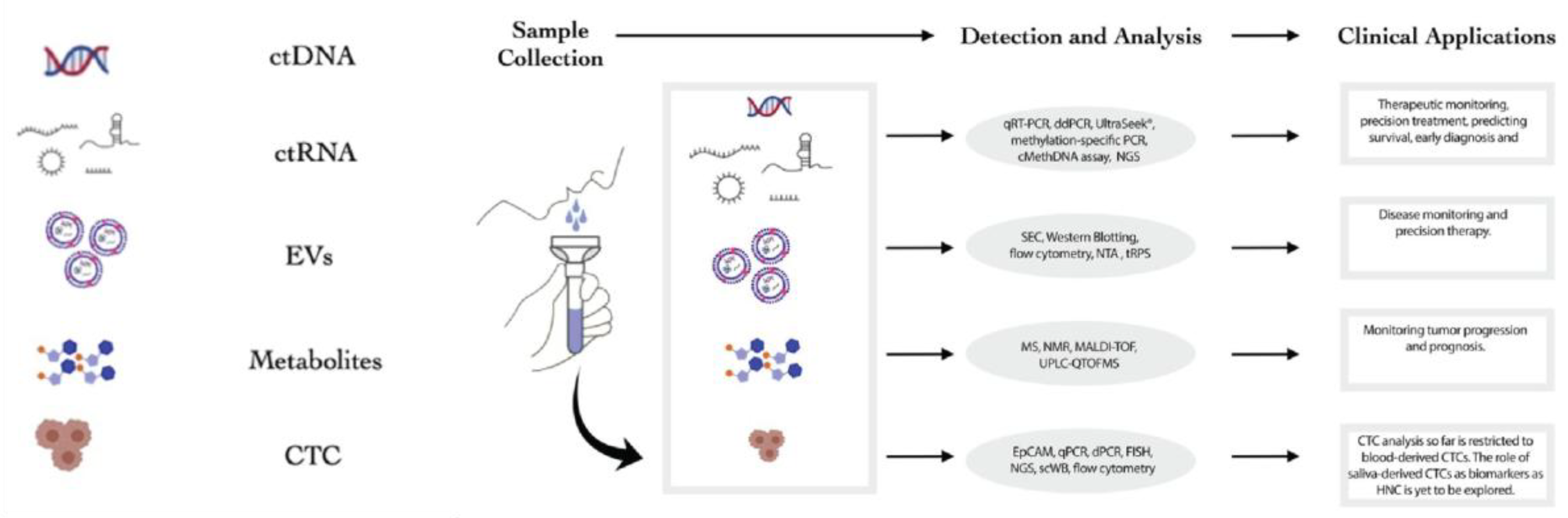 Preprints 176658 g002